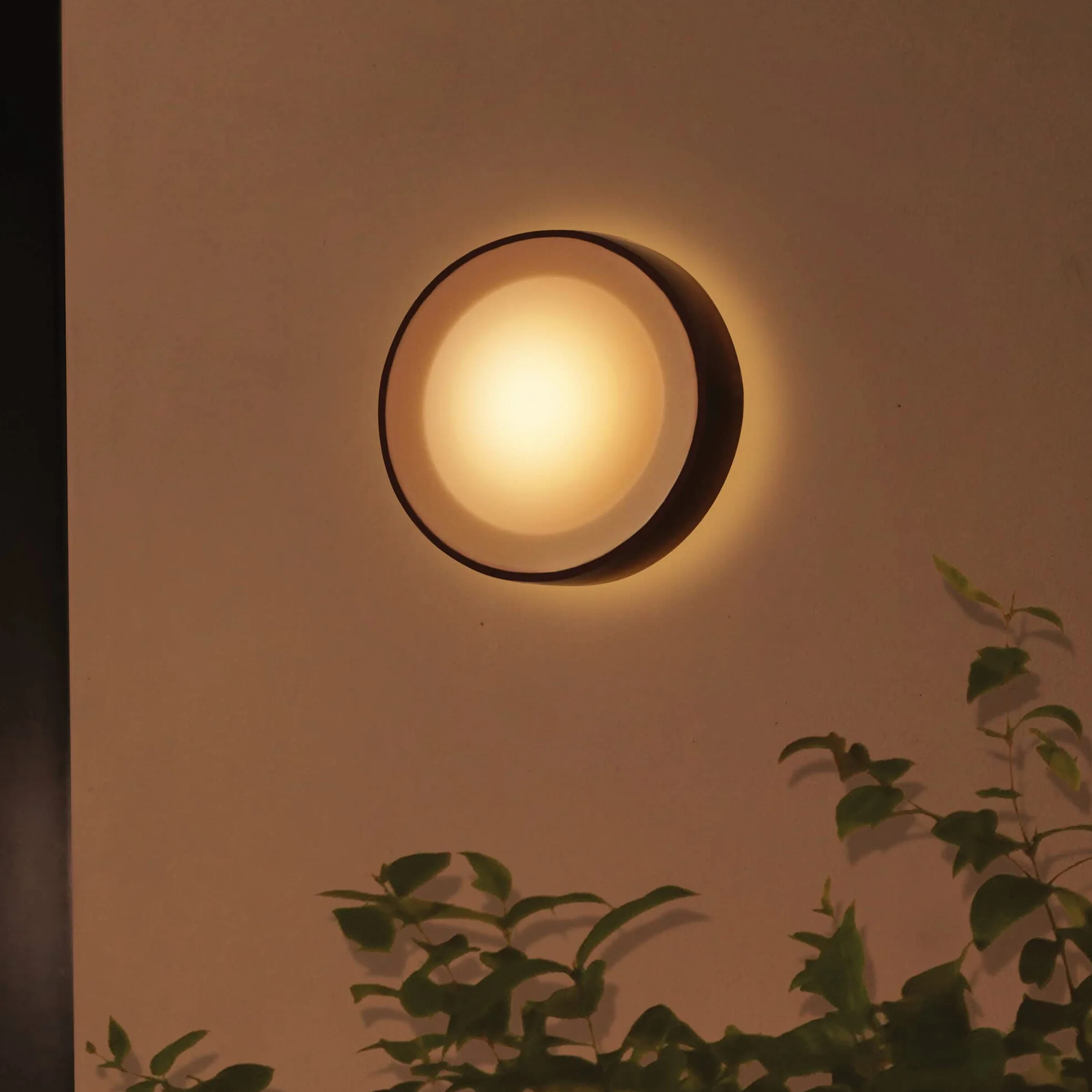 Philips Hue White and color ambiance Kinkiet zewnętrzny Daylo Wbudowane źródło światła LED Światło białe i kolorowe Zasilanie sieciowe Inteligentne sterowanie dzięki mostkowi Hue*