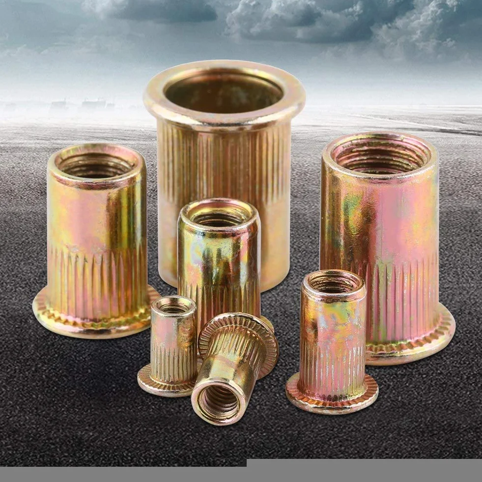 100/20 Stücke M3-M12 Kohlenstoffstahl Flache Gewinde Nietmutter Flansch Rivnut Nutsert Verschluss(M10/20pcs)
