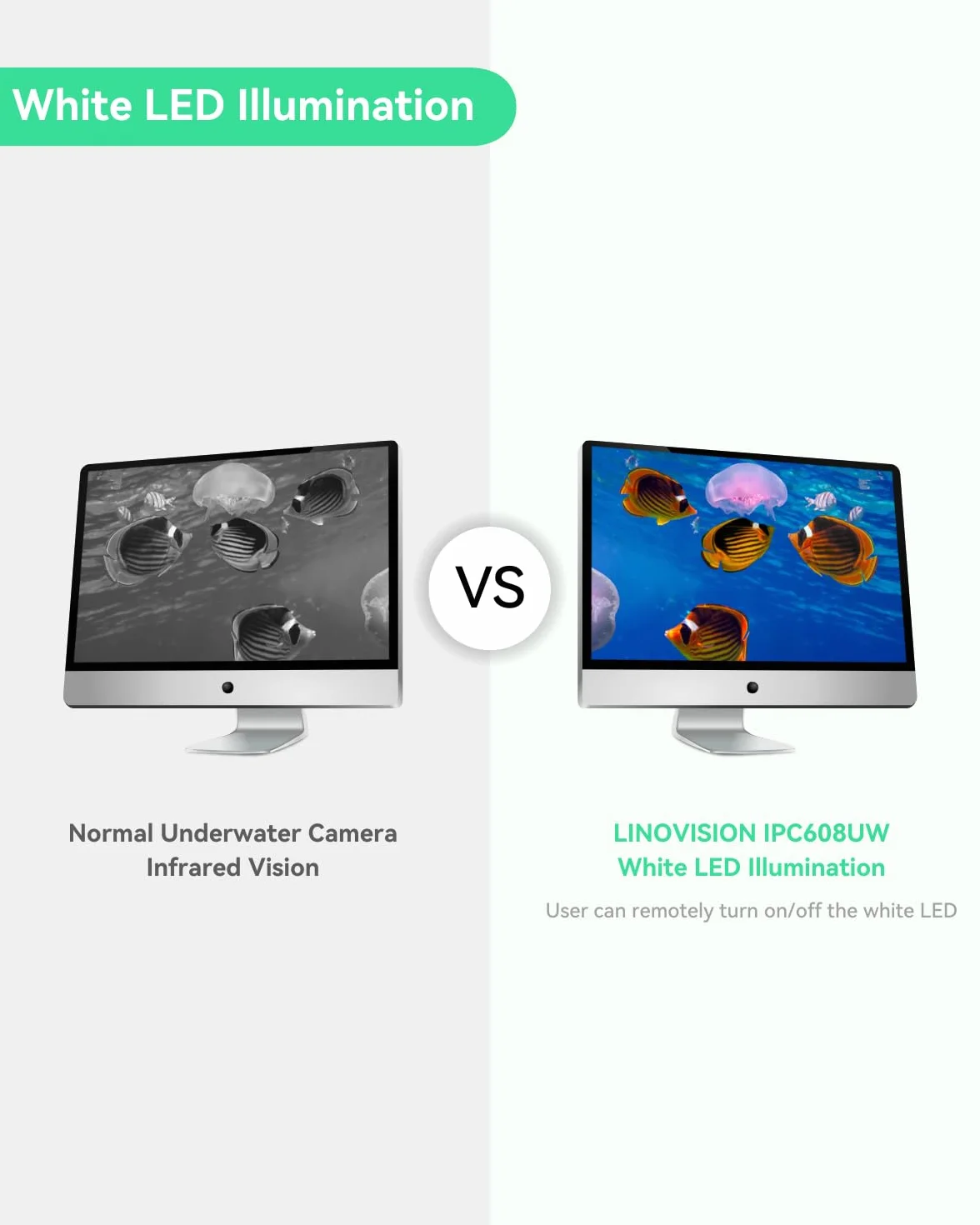 LINOVISION 4K Ultra HD kamera podwodna z powłoką antykorozyjną, POE, Web-GUI, aplikacja mobilna, kabel 30 m