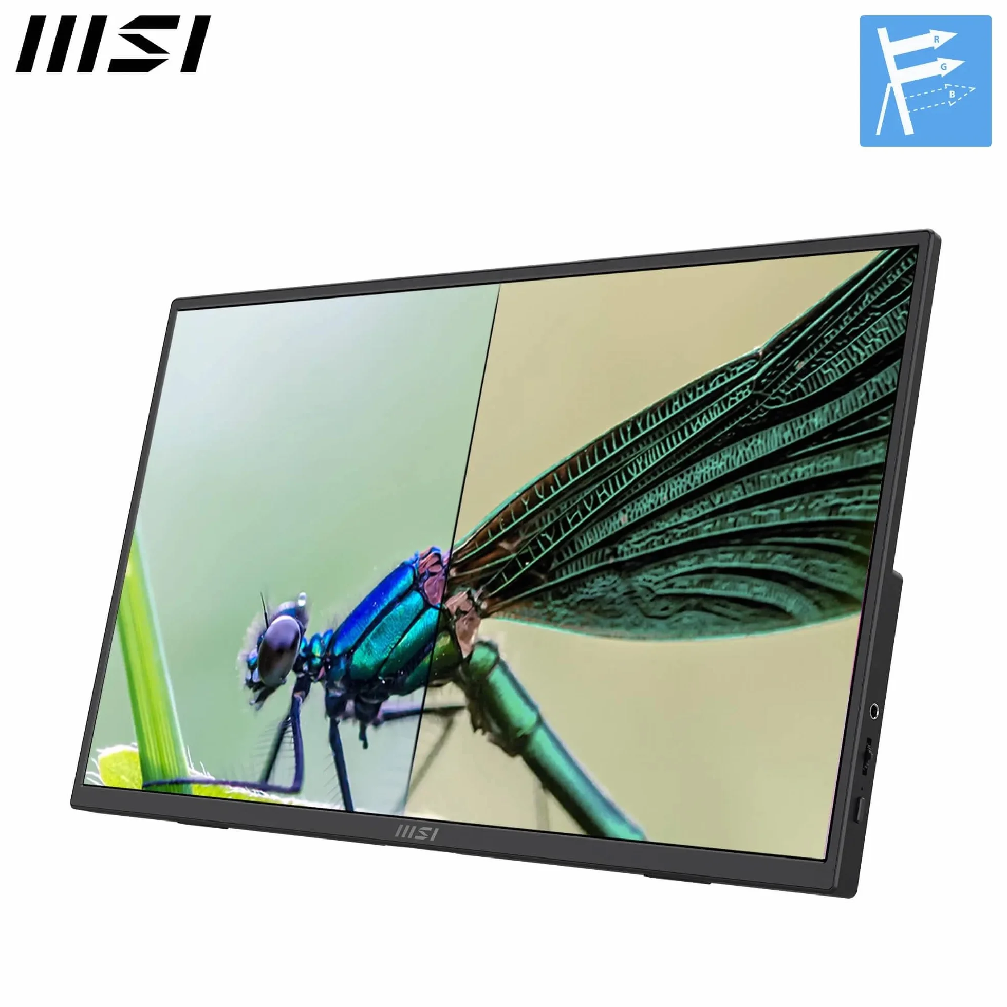 MSI Pro MP165 E6 monitor