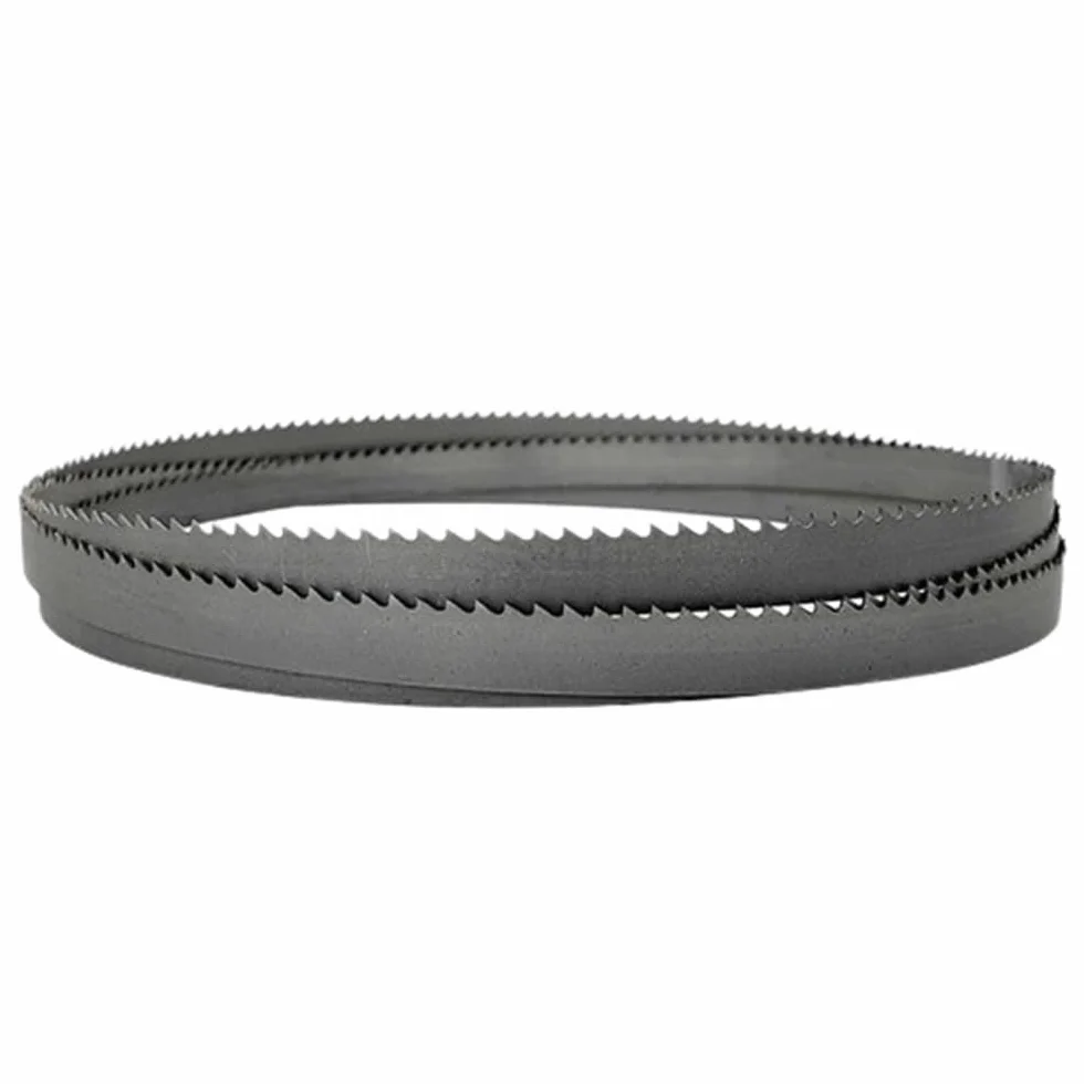 Brzeszczot do piły taśmowej, Bimetalowe brzeszczoty taśmowe o wielu długościach, brzeszczoty do pił taśmowych 3/4 cala 19x0,9 mm M42, brzeszczoty do pił metalowych 4-6TPI do cięcia twardego drewna(335