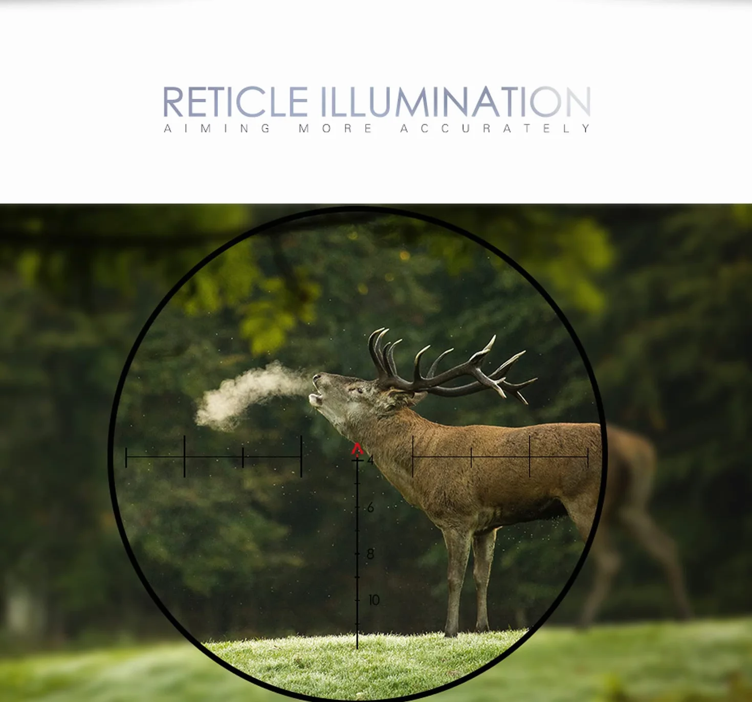 Paike Rifle Scope 4x32mm ACOG kolimator kolimatorowy z czerwoną siatką jodełkową