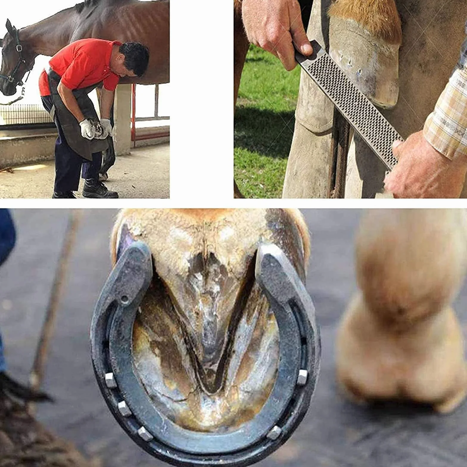 Przycinarka do podków, przycinarka do podków, 8-calowy obcinak do kopyt koni, zestaw szczypiec do podków z profesjonalnym metalowym, gumowym, antypoślizgowym uchwytem, ​​maksymalny otwór 2 cm, dla byd