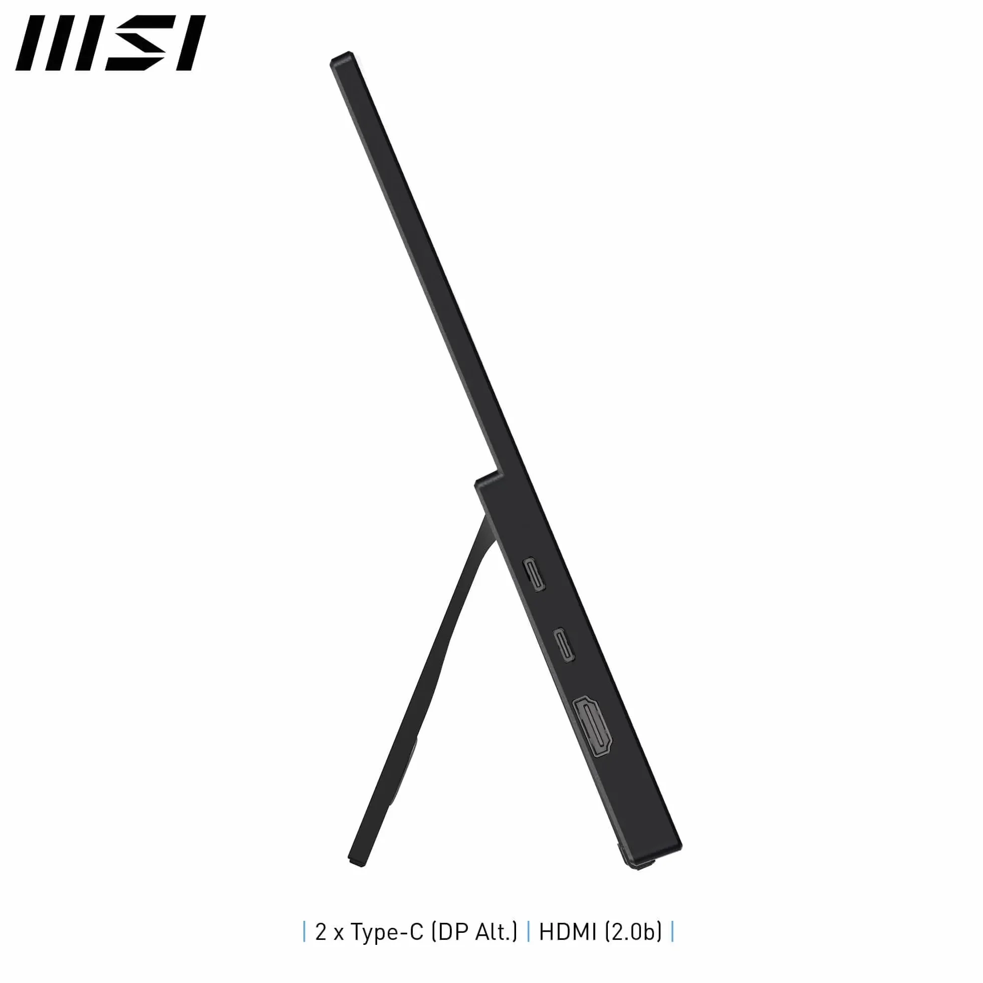 MSI Pro MP165 E6 monitor