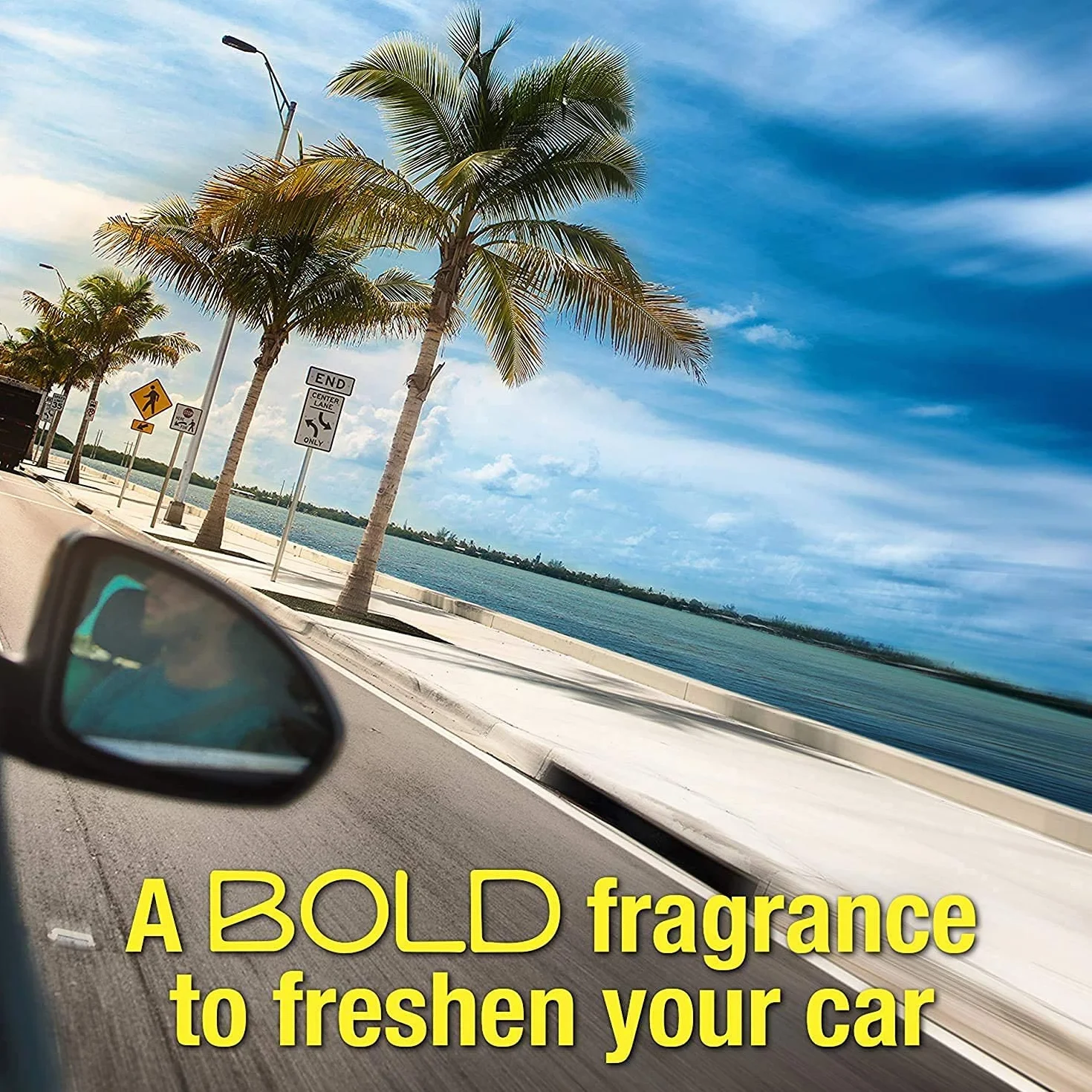 California Car Scents AC CS AMBIENTADOR COCHE Palmera Papel 4UDS Hielo