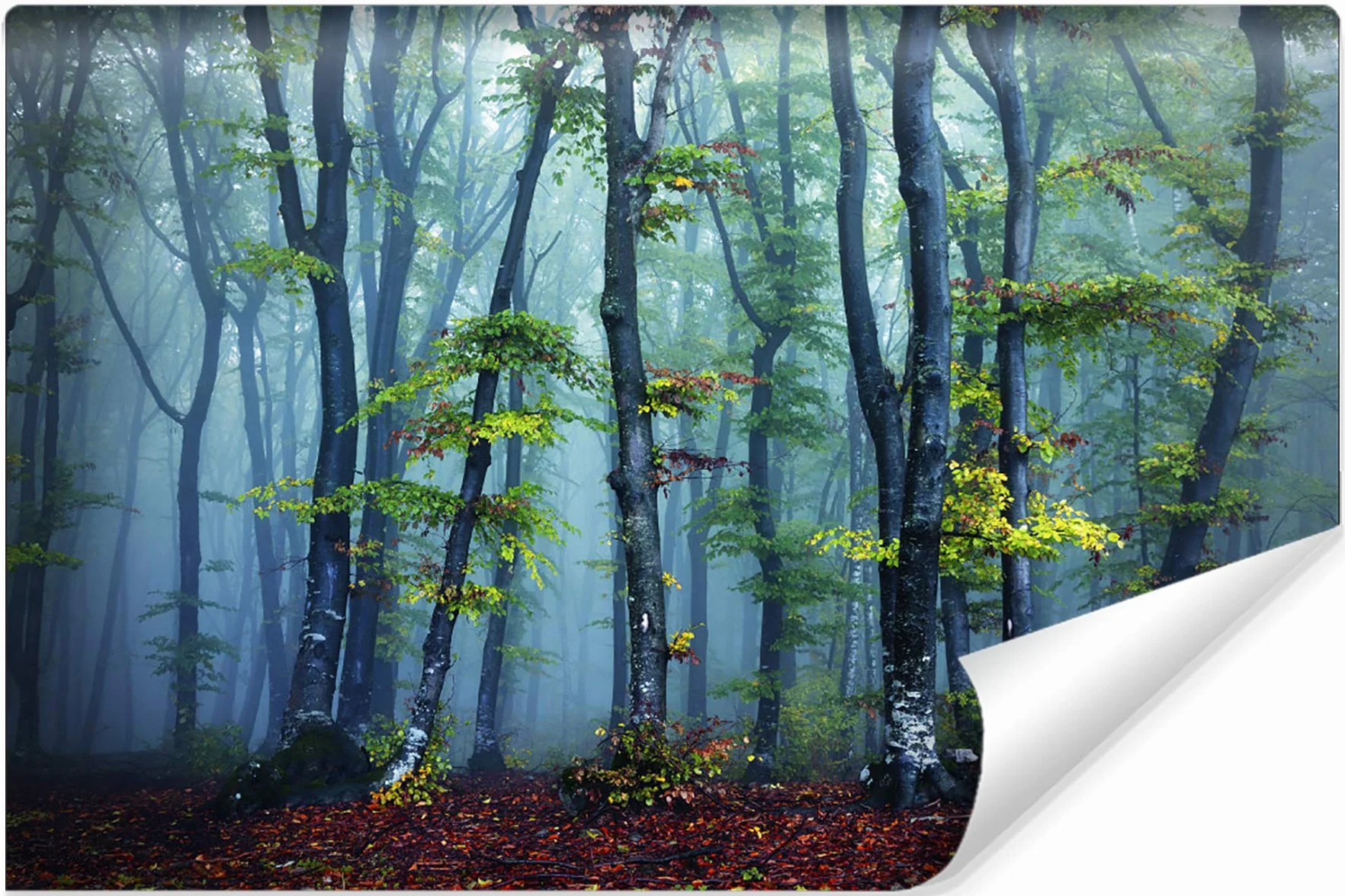 Gładka tapeta winylowa, las na mgle, drzewa, liście, tapeta ścienna 300 x 210 cm, do salonu, sypialni, nowoczesne obrazy ścienne XXL, dekoracja ścienna szer. 300 x wys. 210