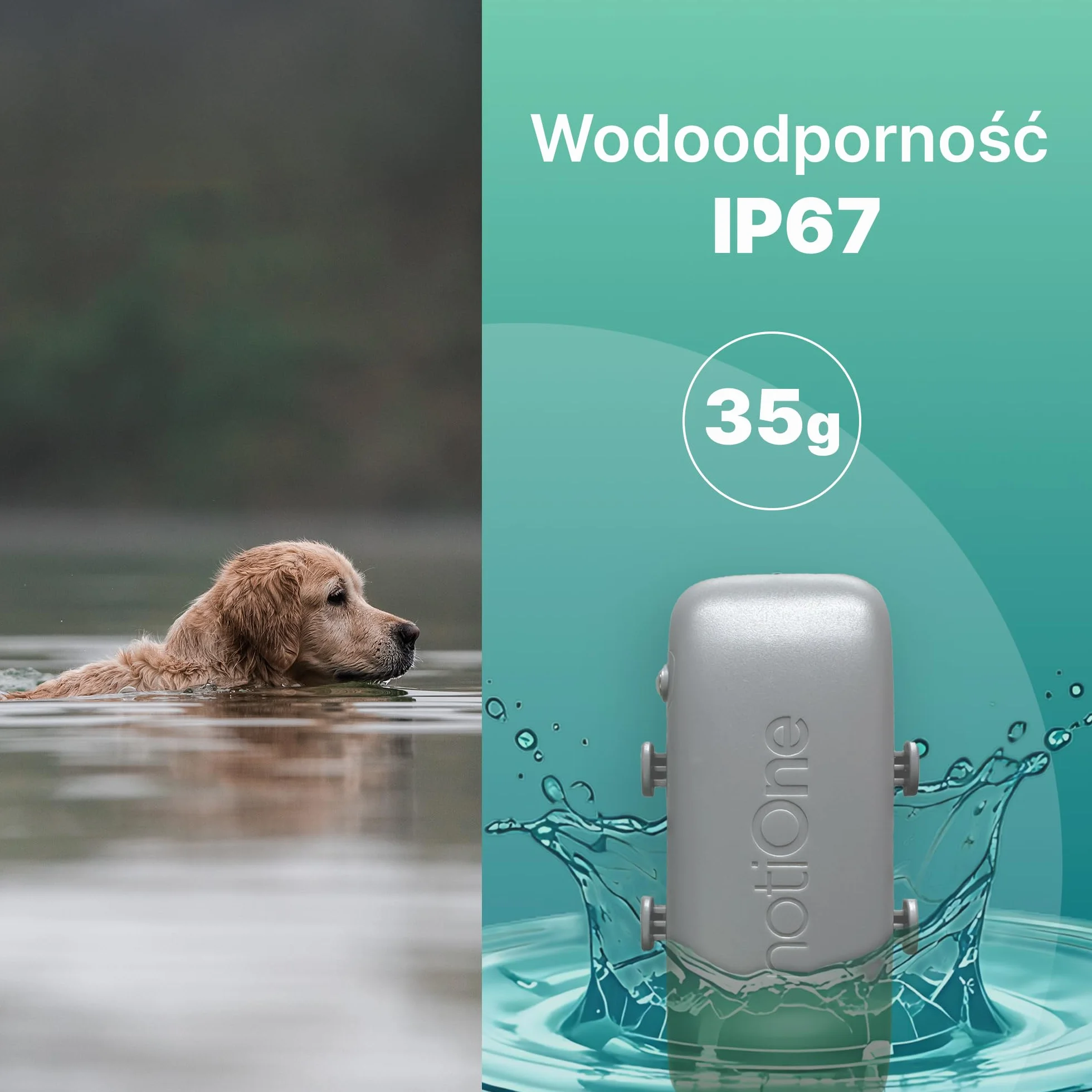 Lokalizator GPS PLUS dla zwierząt w czasie rzeczywistym z Geostrefą Roaming Europa