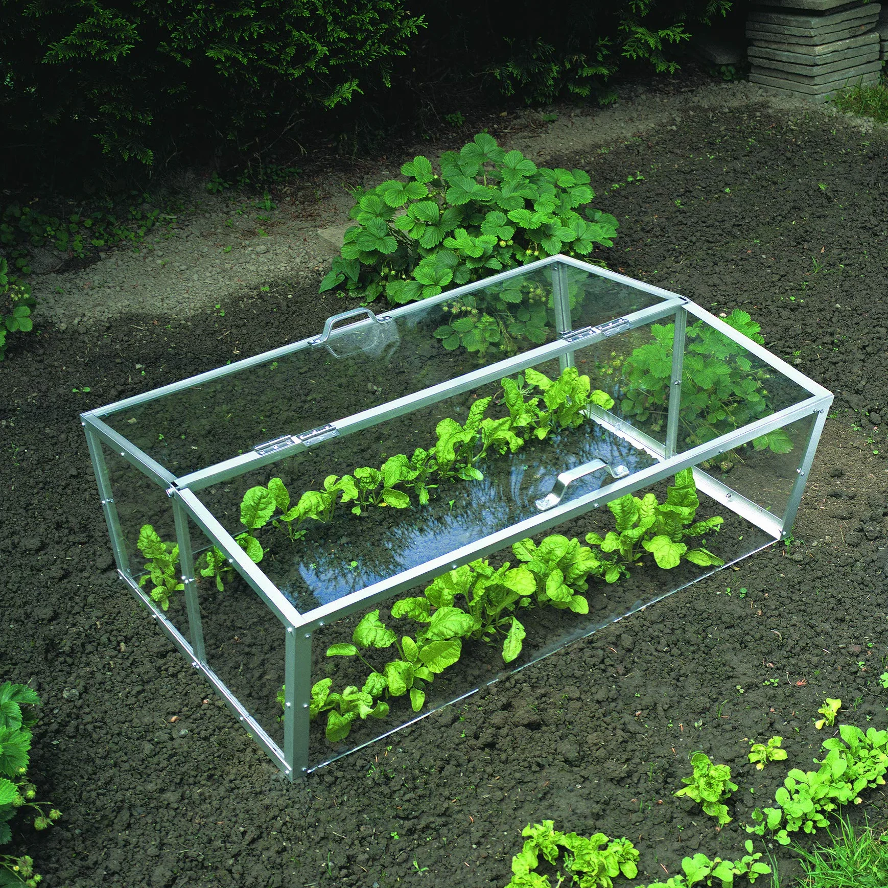 Alberts 473310 drążek okrągły | aluminium, anodowany w kolorze srebrnym | 1000 x 5 mm