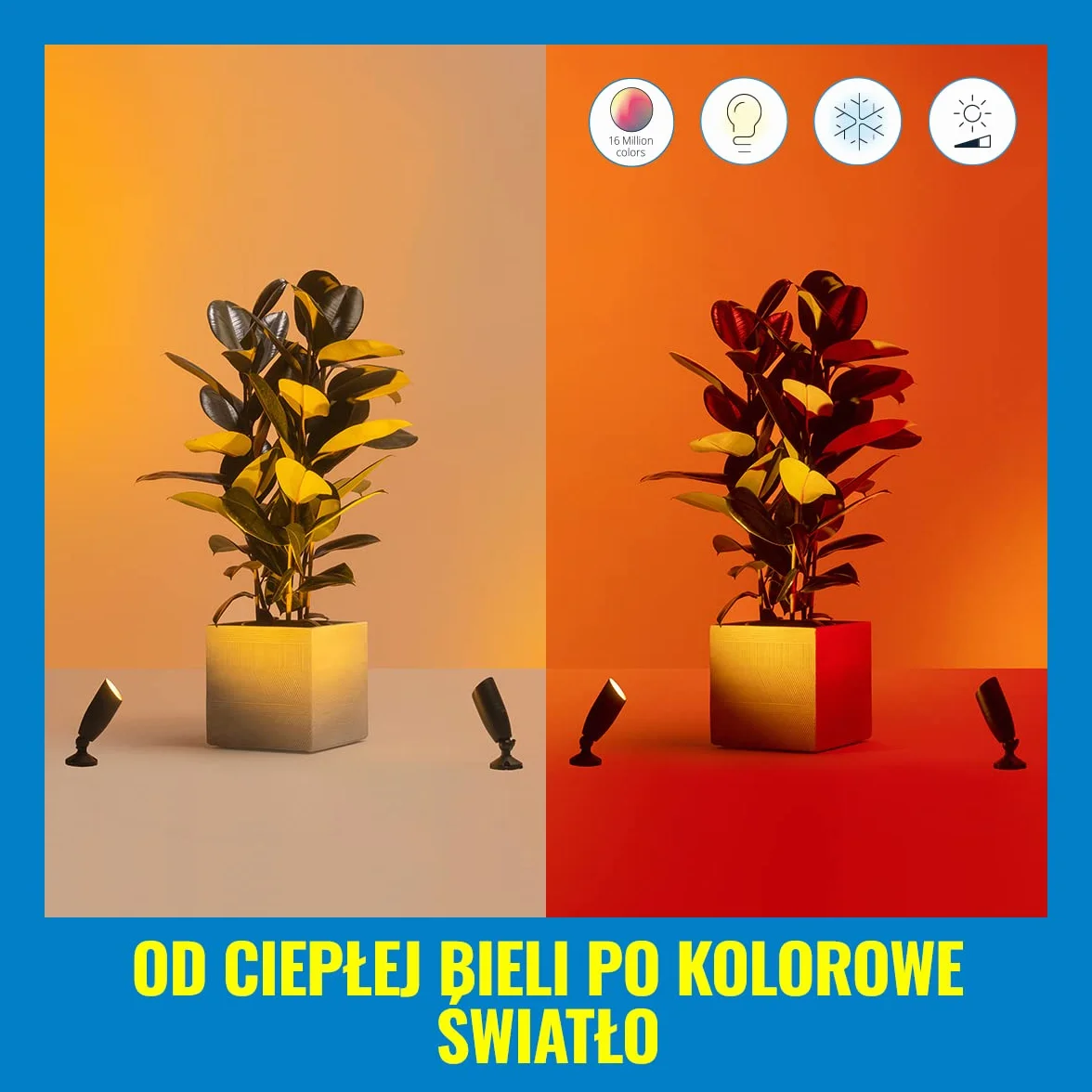 Philips Inteligentny Reflektor Ogrodowy, Zestaw Startowy z Zasilaczem, Wi-Fi, Bluetooth, Wiele Odcieni Bieli, Szeroka Paleta Kolorów, Sterowanie Aplikacją