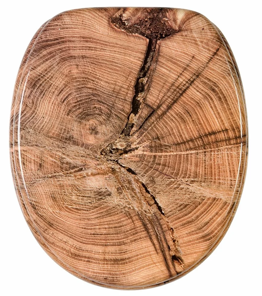 Deska sedesowa wolnoopadająca, wysokiej jakości powierzchnia, łatwy montaż, stabilne zawiasy, Old Tree