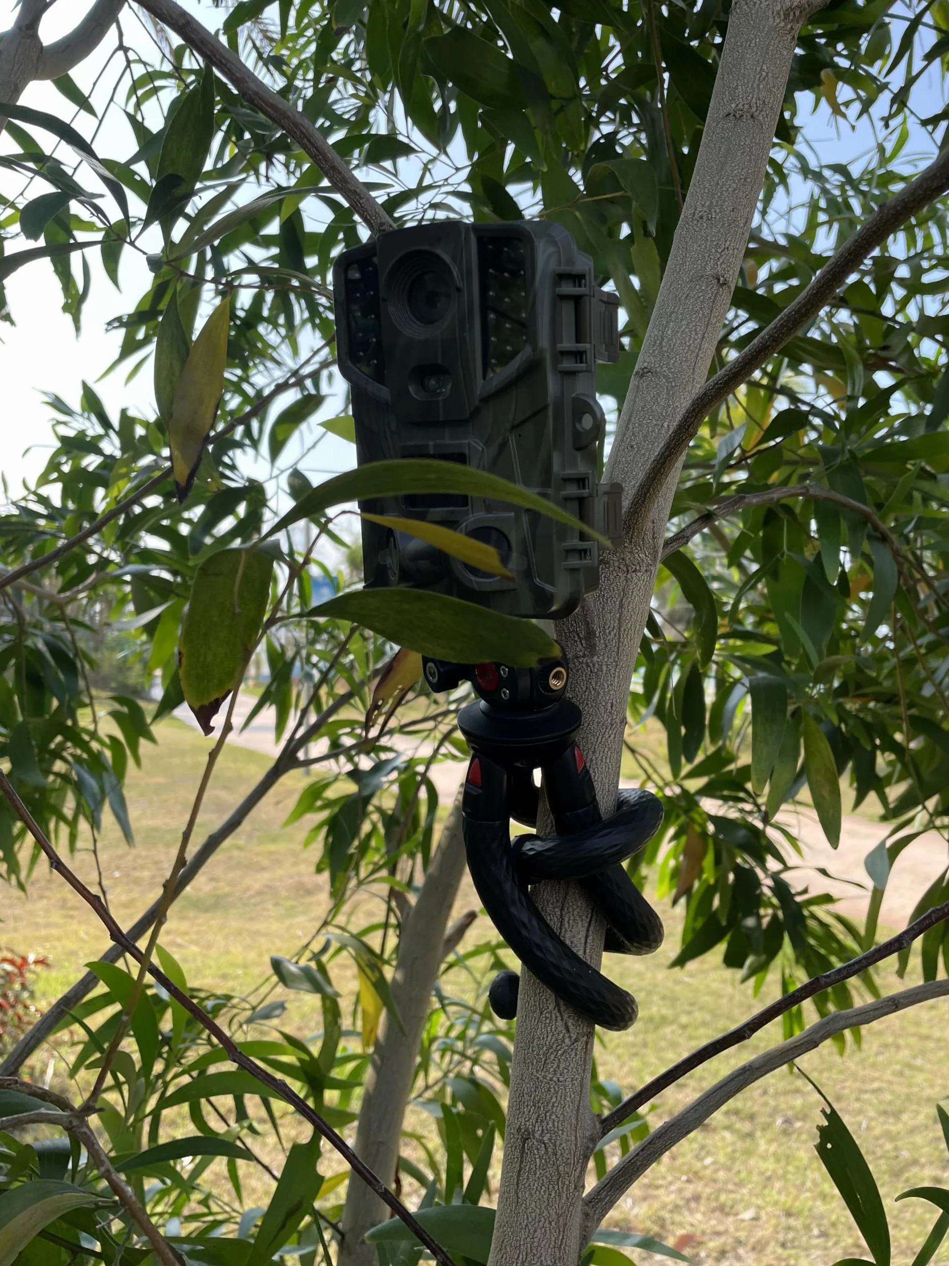Bendy Selfie Gorrila Statyw do aparatu DSLR mini mały podróżny lekki kompaktowy kamera vlogowanie wideo kamera internetowa projektor akcesoria