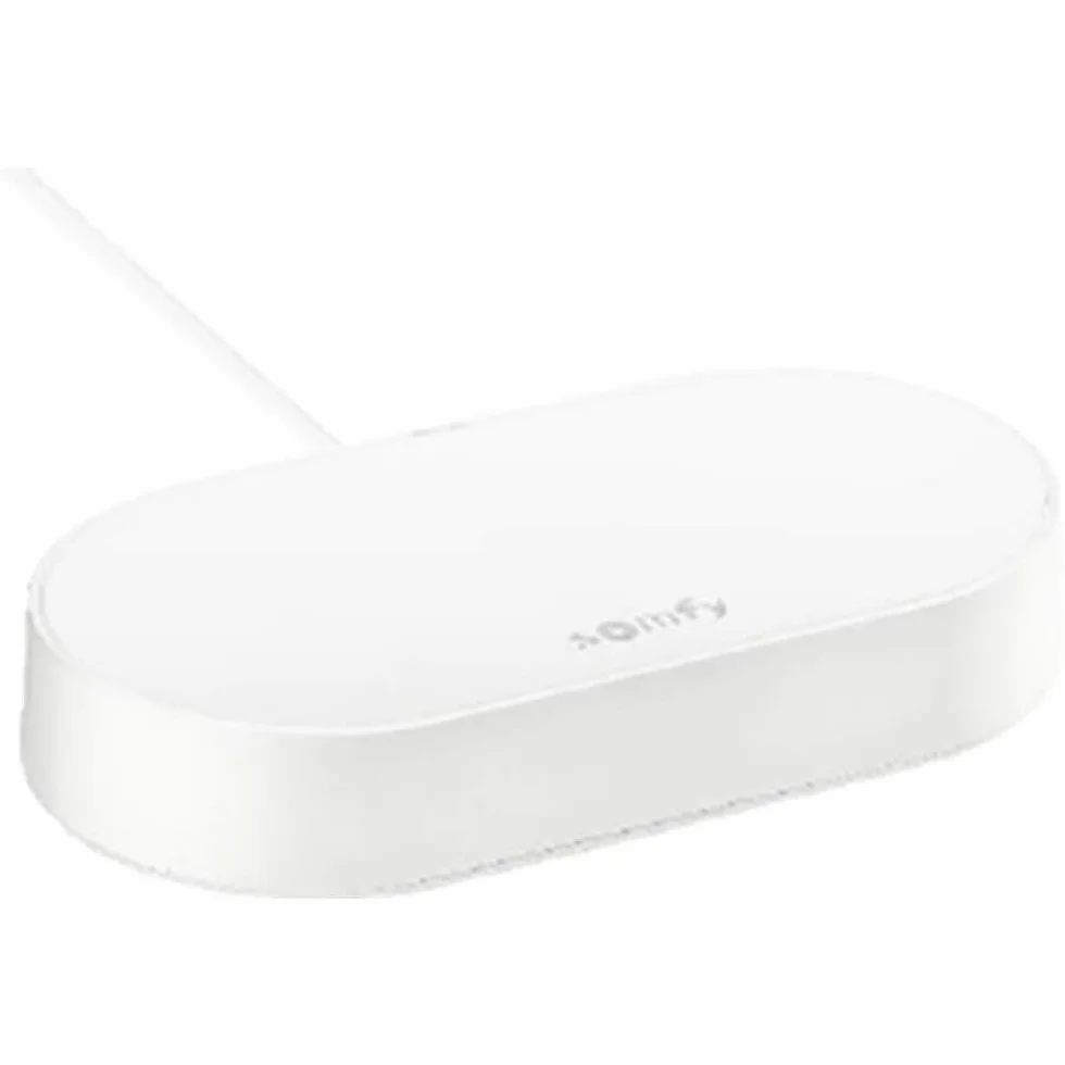 Somfy 1870755 - Connectivity Kit | Sterowanie oświetleniem i napędami Somfy za pomocą smartfona | Kompatybilny z io i RTS| Sterowanie głosowe z Google Assistant, Amazon Alexa, Apple HomeKit