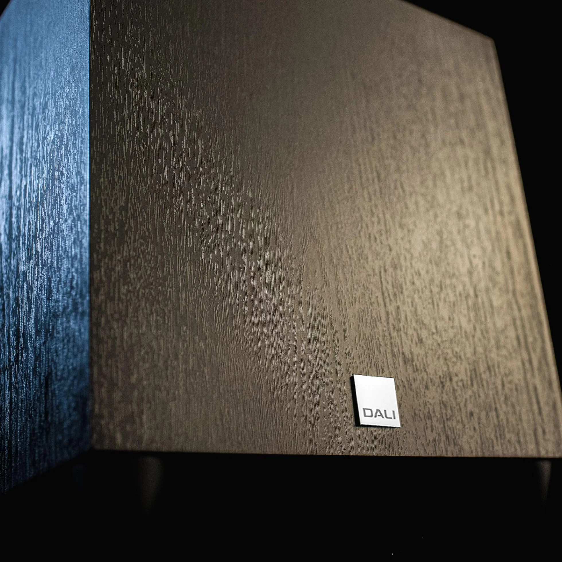 Dali Subwoofer Sub C-8 D jesionowo-czarny