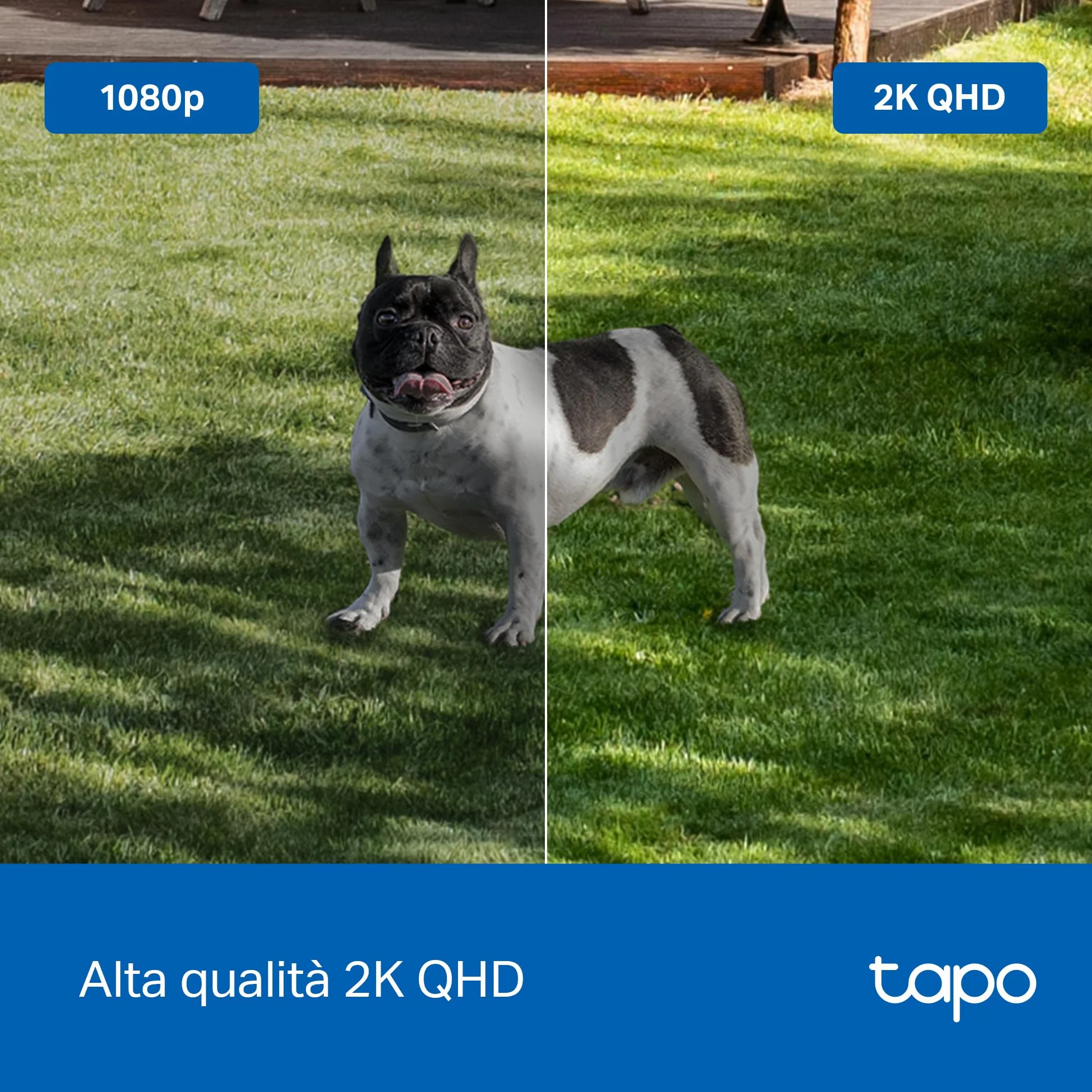 TP-Link Tapo C425 (2-pack) | Zestaw 2 kamer Wi-Fi 2K QHD na baterie | Tryb nocny w kolorze | Wykrywanie AI | Współpraca z H200 | Kompatybilne z Alexa i Google Home