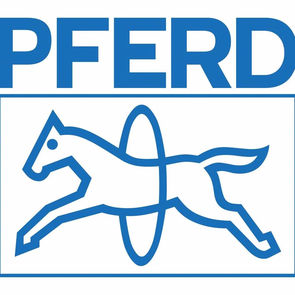 Pferd 43509001 szczotka WBU 100100/19,1 ST 0,27 LIT SG