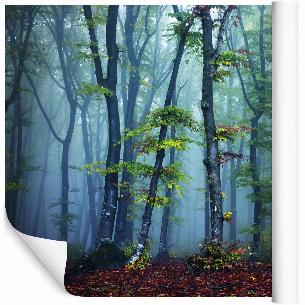 Gładka tapeta winylowa, las na mgle, drzewa, liście, tapeta ścienna 300 x 210 cm, do salonu, sypialni, nowoczesne obrazy ścienne XXL, dekoracja ścienna szer. 300 x wys. 210