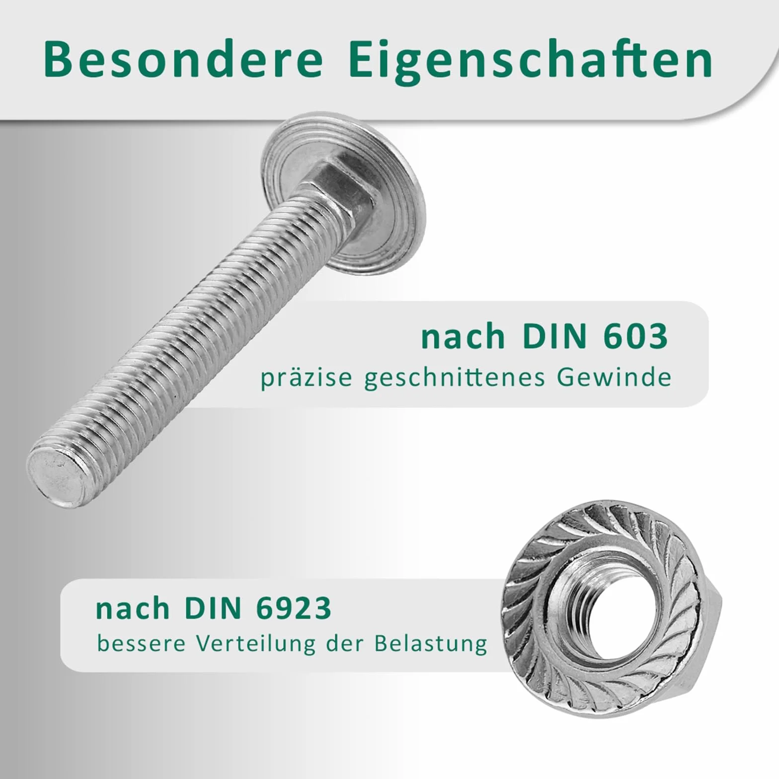 DSM – śruby z łbem płaskim okrągłym M12 x 35 mm zgodnie z DIN 603 – nakrętka kołnierzowa M12 z uzębieniem blokującym DIN 6923 – stal nierdzewna A2 – śruby z łbem płaskim okrągłym z nasadką czworokątną