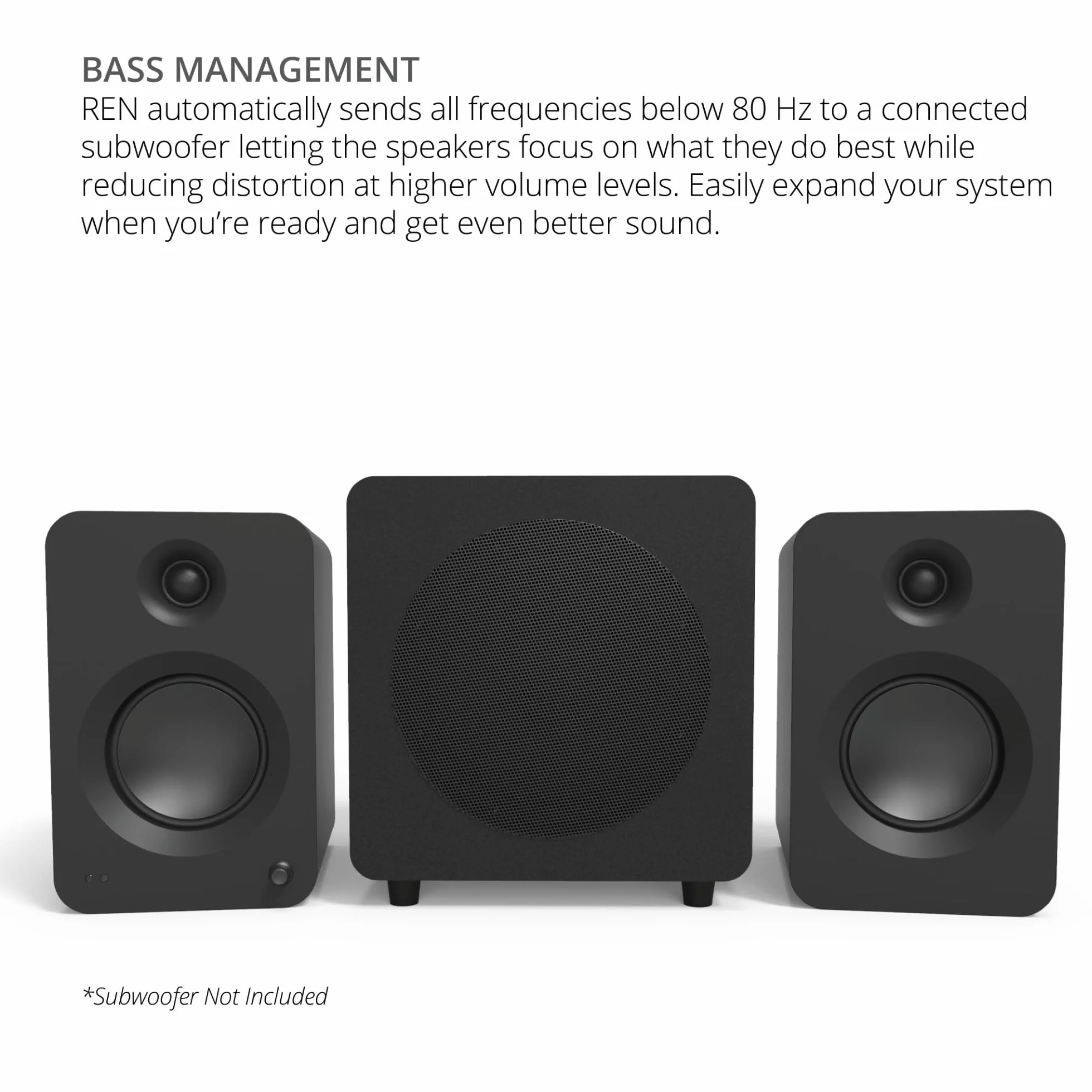 Kanto REN 200W Powered Speaker System HDMI ARC TV Home Theater USB-C Bluetooth 5.3 Black Matte