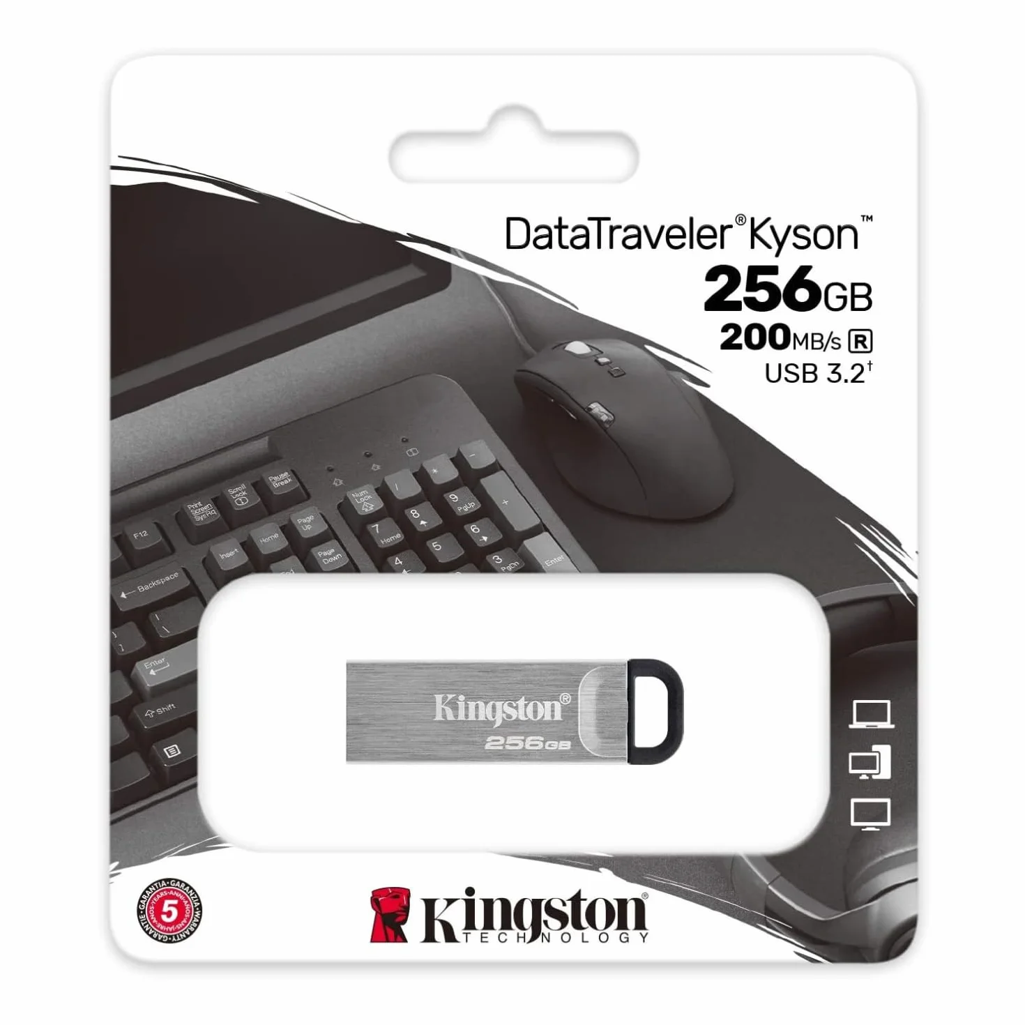 Kingston DTKN/256GB Pamięć USB 256 GB Szary