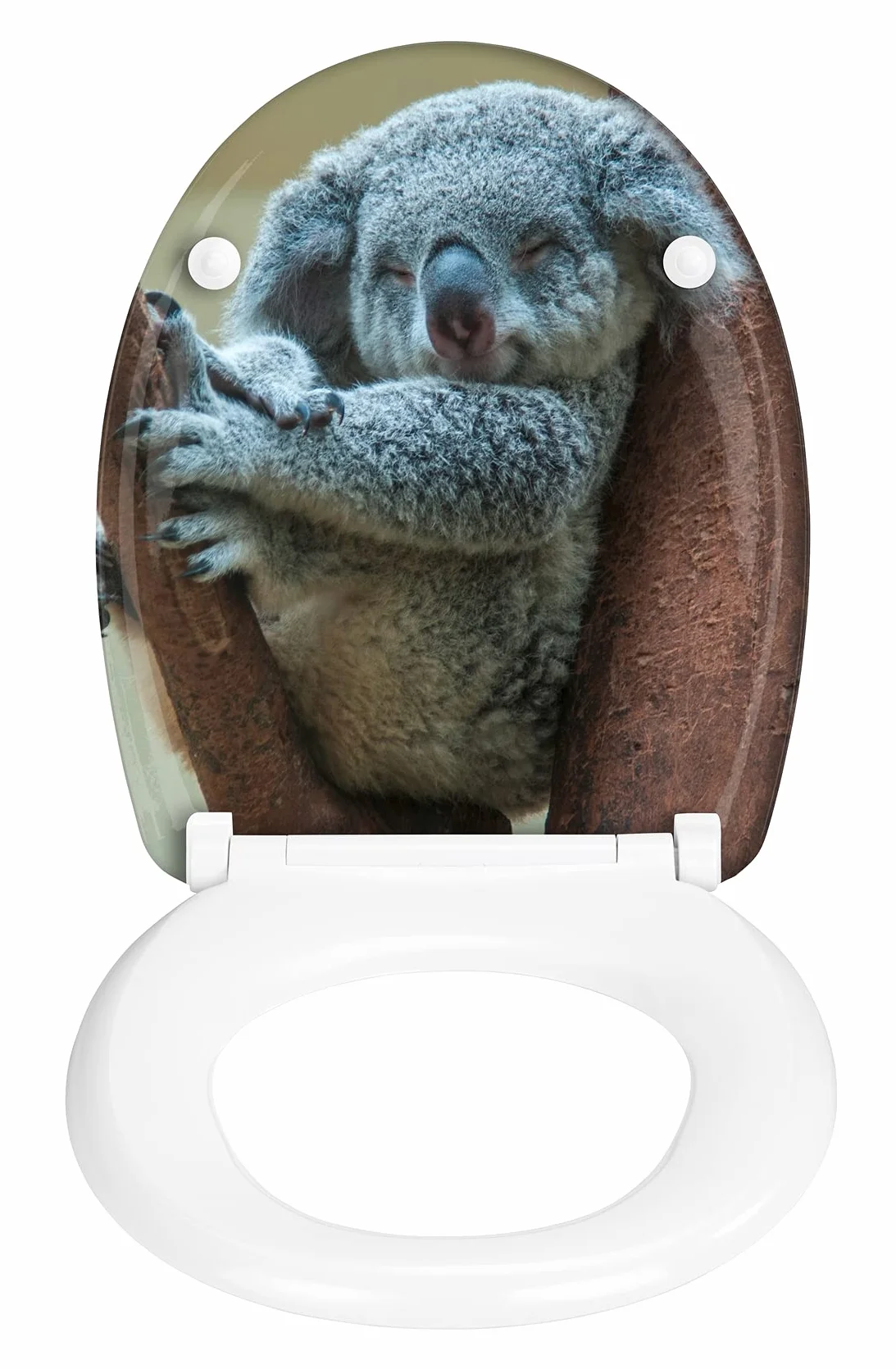 WENKO Deska sedesowa Koala, higieniczna deska sedesowa wolnoopadająca, deska sedesowa z odpornego na pękanie, antybakteryjnego duroplastu, mocowanie ze stali nierdzewnej, 38 x 45 cm, motyw koala