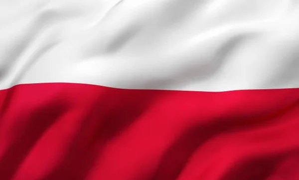 Oscam Cline Icam dla odbiornika telewizji satelitarnej Polska Niemcy Europa (5)