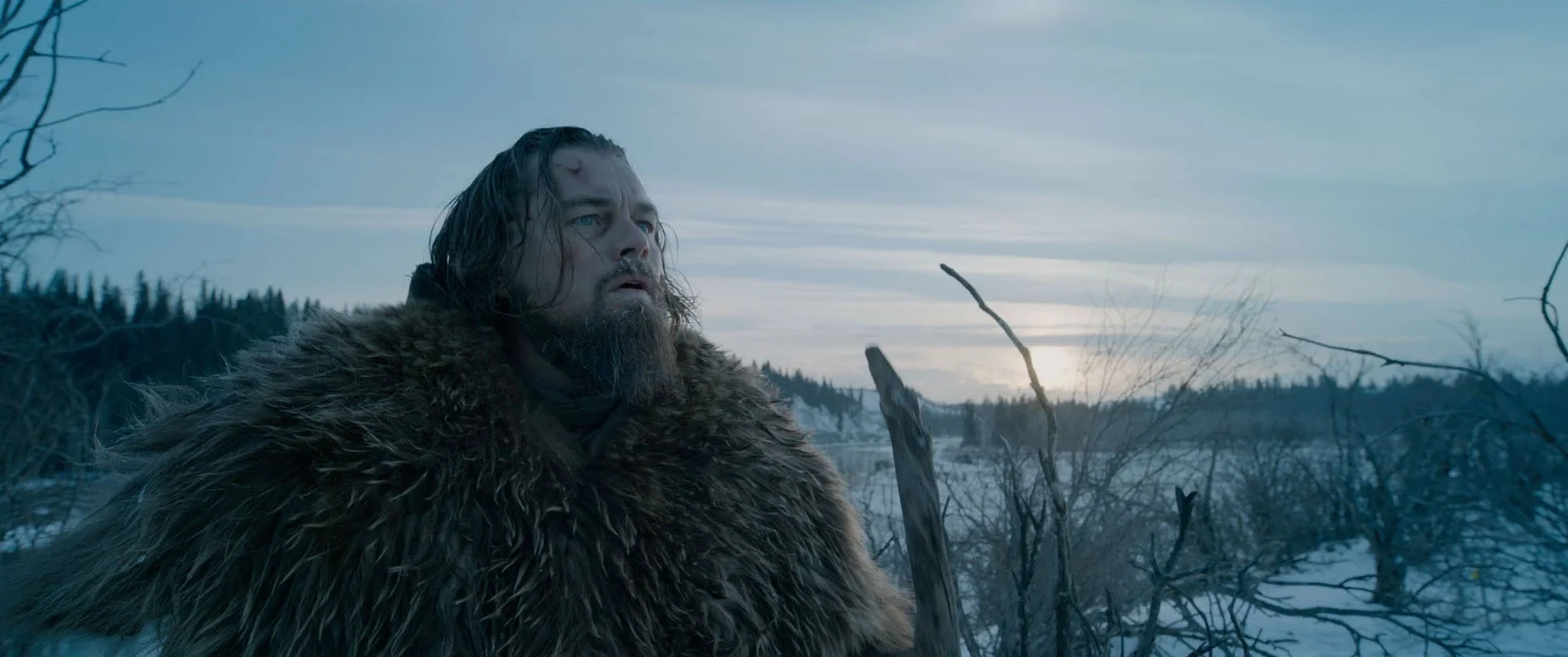 The Revenant - 4k Ultra Hd