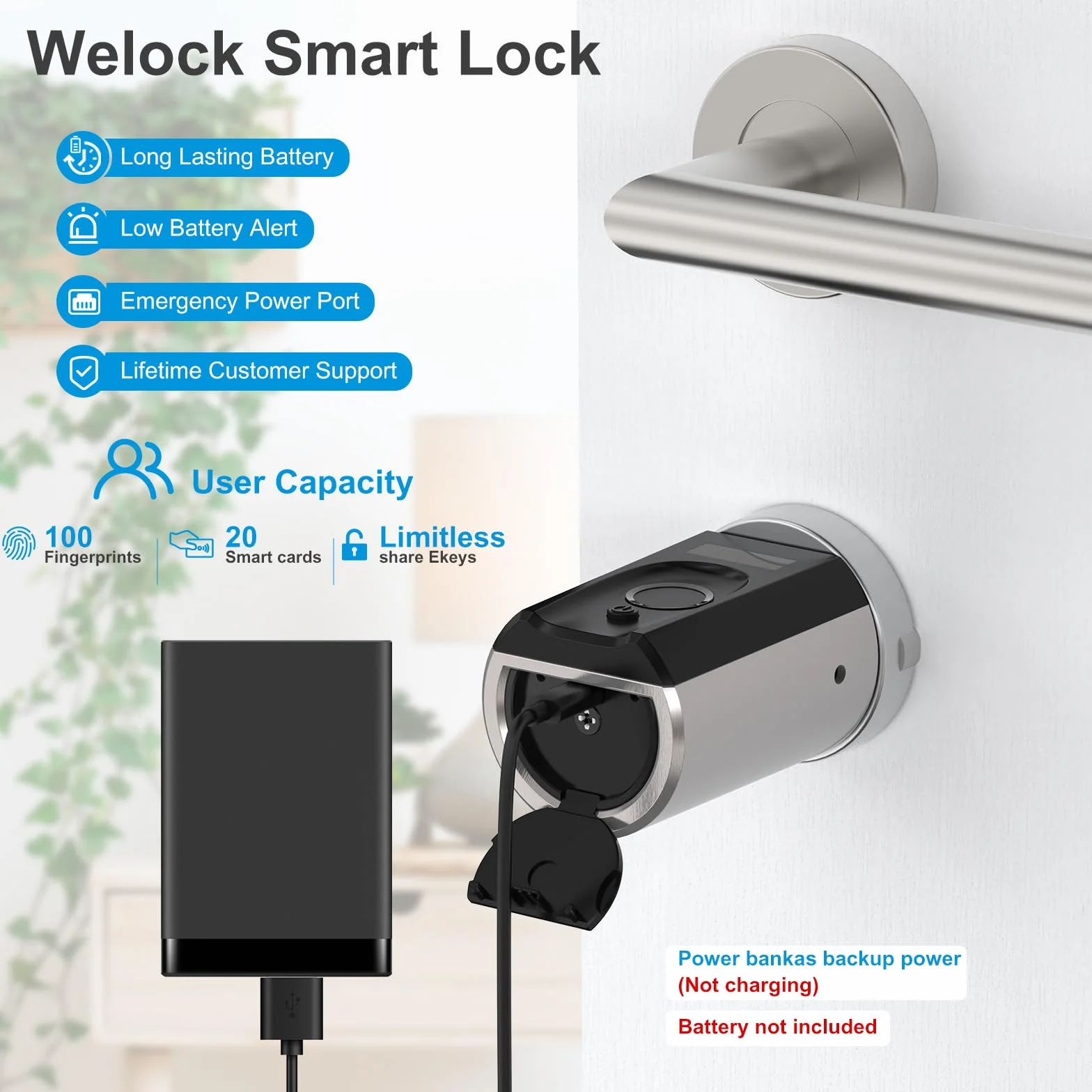 Welock Touch41 zamek do drzwi, odcisk palca z wifibox 3, elektroniczny zamek do drzwi z kartą RFID, zdalne odblokowanie Bluetooth, Wi-Fi, IP65, współpracuje z Alexa, regulacja do drzwi 50-100 mm