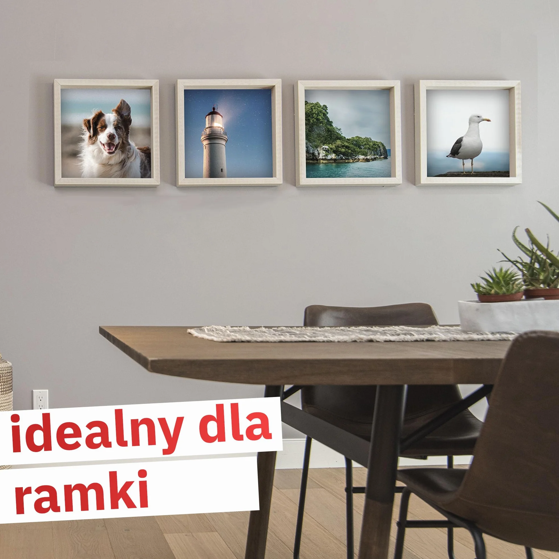 RIKAMA 50 gwoździ obrazowych w mieszance 10 x 20 mm, 25 mm, 30 mm, 40 mm, 50 mm, stalowe gwoździe do betonu, cegły, tynku i drewna, wyprodukowano we Włoszech, złota główka