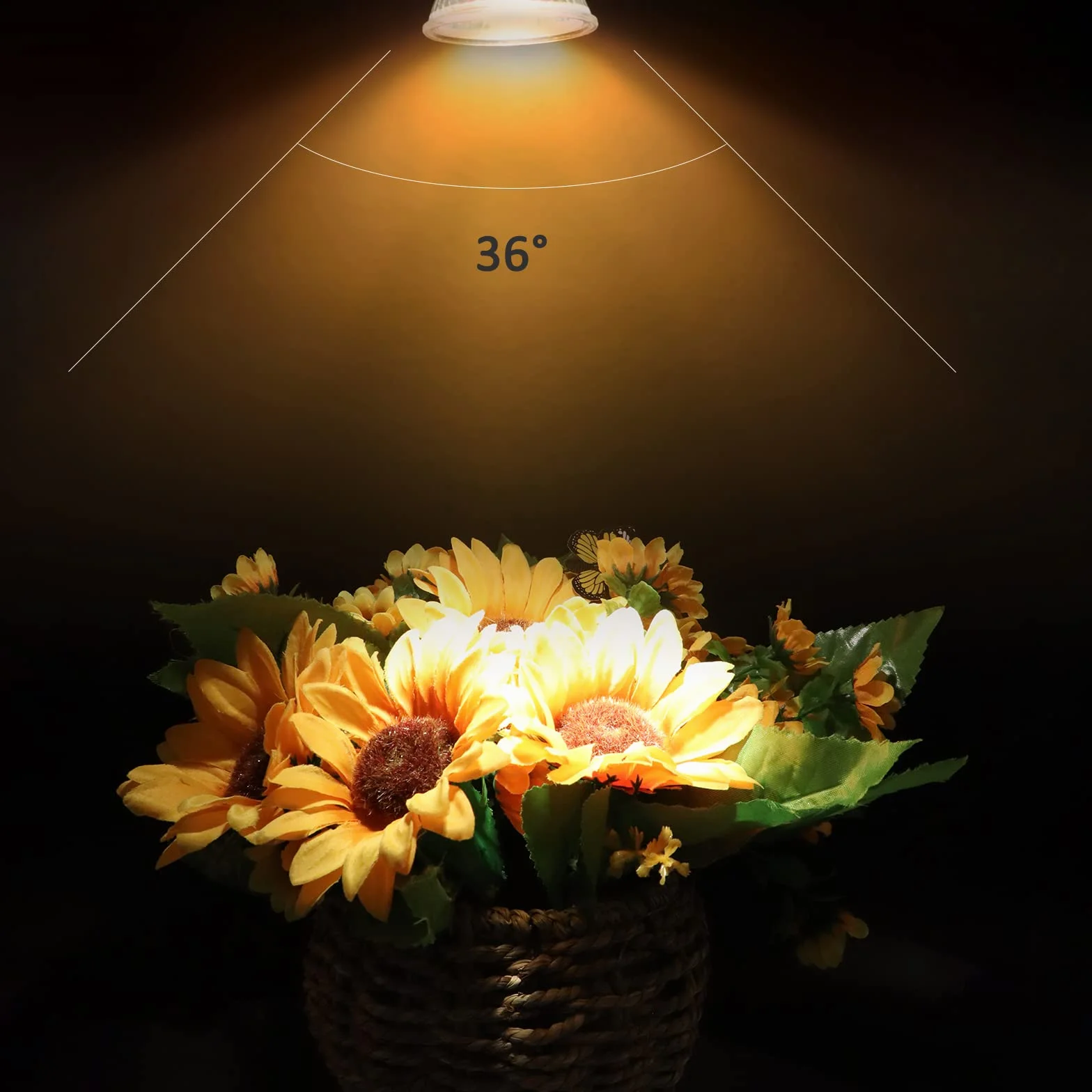 Caldarax 8 sztuk MR16 GU5.3 20W 12V reflektor halogenowy, możliwość przyciemnienia 2700K ciepła biel, 210LM, żarówka reflektorowa halogenowa, reflektor halogenowy, podstawa GU5.3 Bi-Pin, kąt świecenia