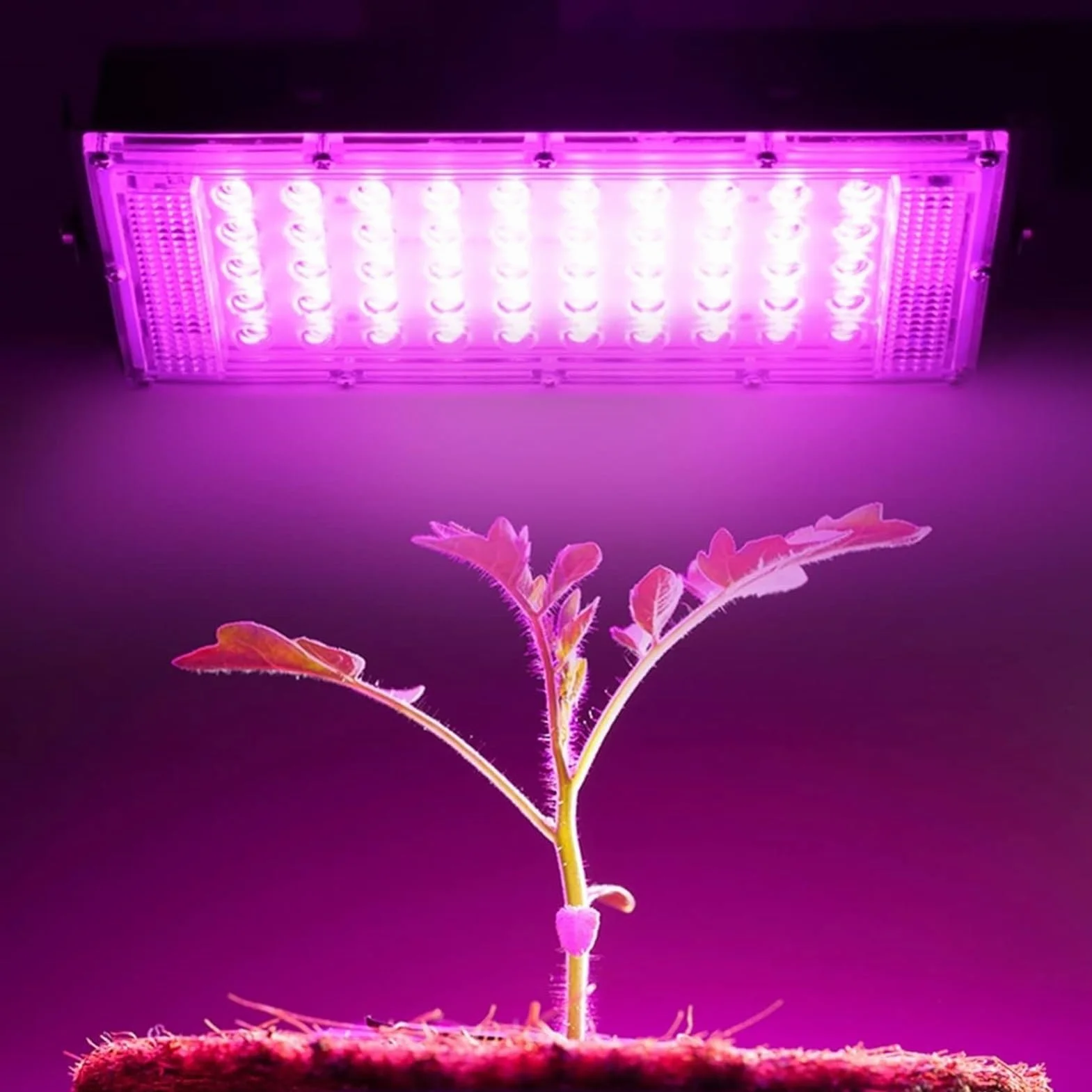 Lampy solarne zewnętrzne, Reflektor IP65 reflektorowy Zewnętrzne oświetlenie krajobrazu do ogrodu, podwórka, garażu, drzwi(Cold White,50W)