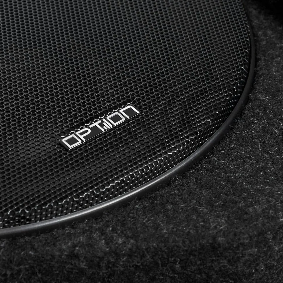 Option DRIVE10FLAT-BRP-D2 - pasywny subwoofer z kółkiem zapasowym 25 cm (300 W RMS) z podwójną cewką oscylacyjną 2 x 2 omy - płaski subwoofer o wysokości 13 cm