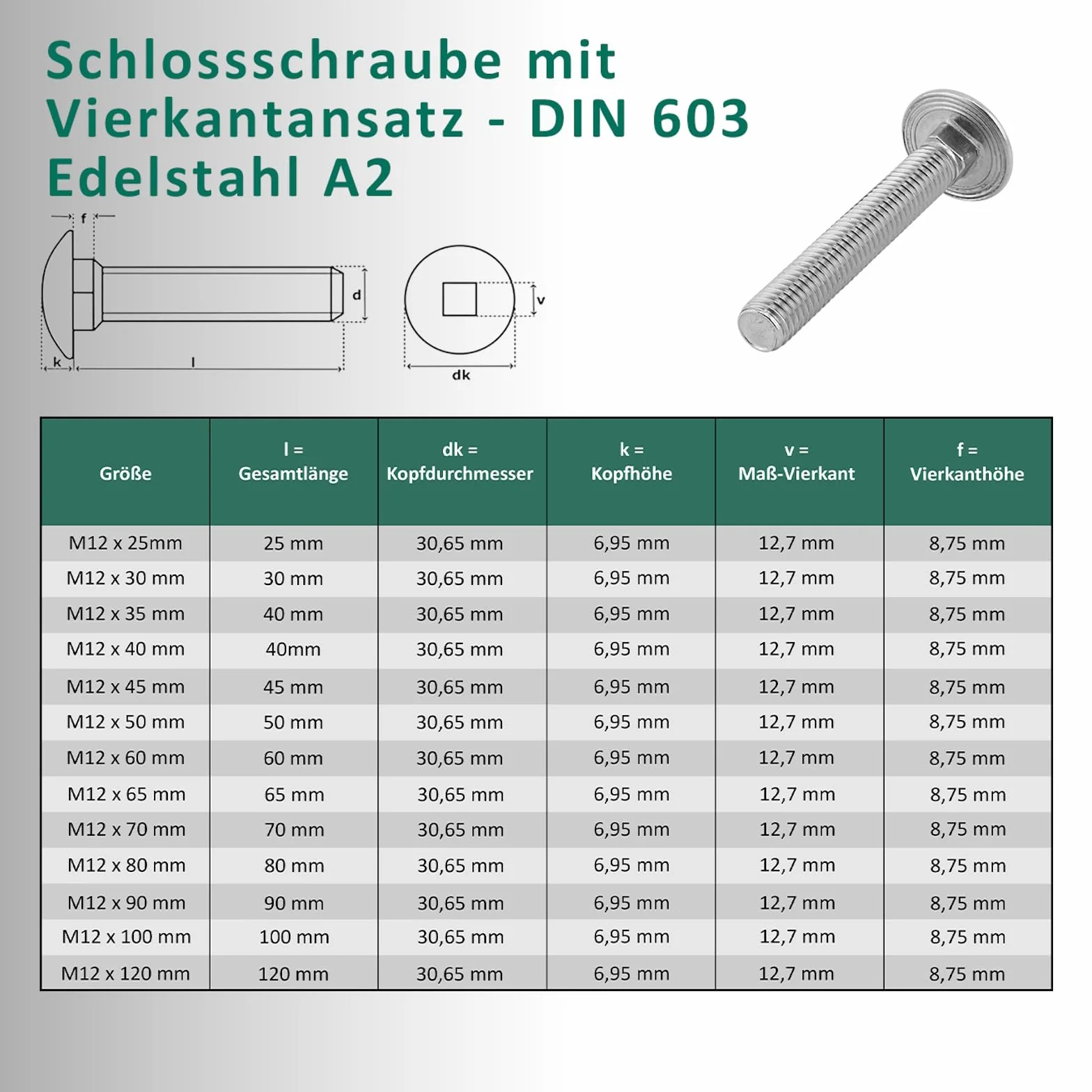 DSM – śruby z łbem płaskim okrągłym M12 x 35 mm zgodnie z DIN 603 – nakrętka kołnierzowa M12 z uzębieniem blokującym DIN 6923 – stal nierdzewna A2 – śruby z łbem płaskim okrągłym z nasadką czworokątną