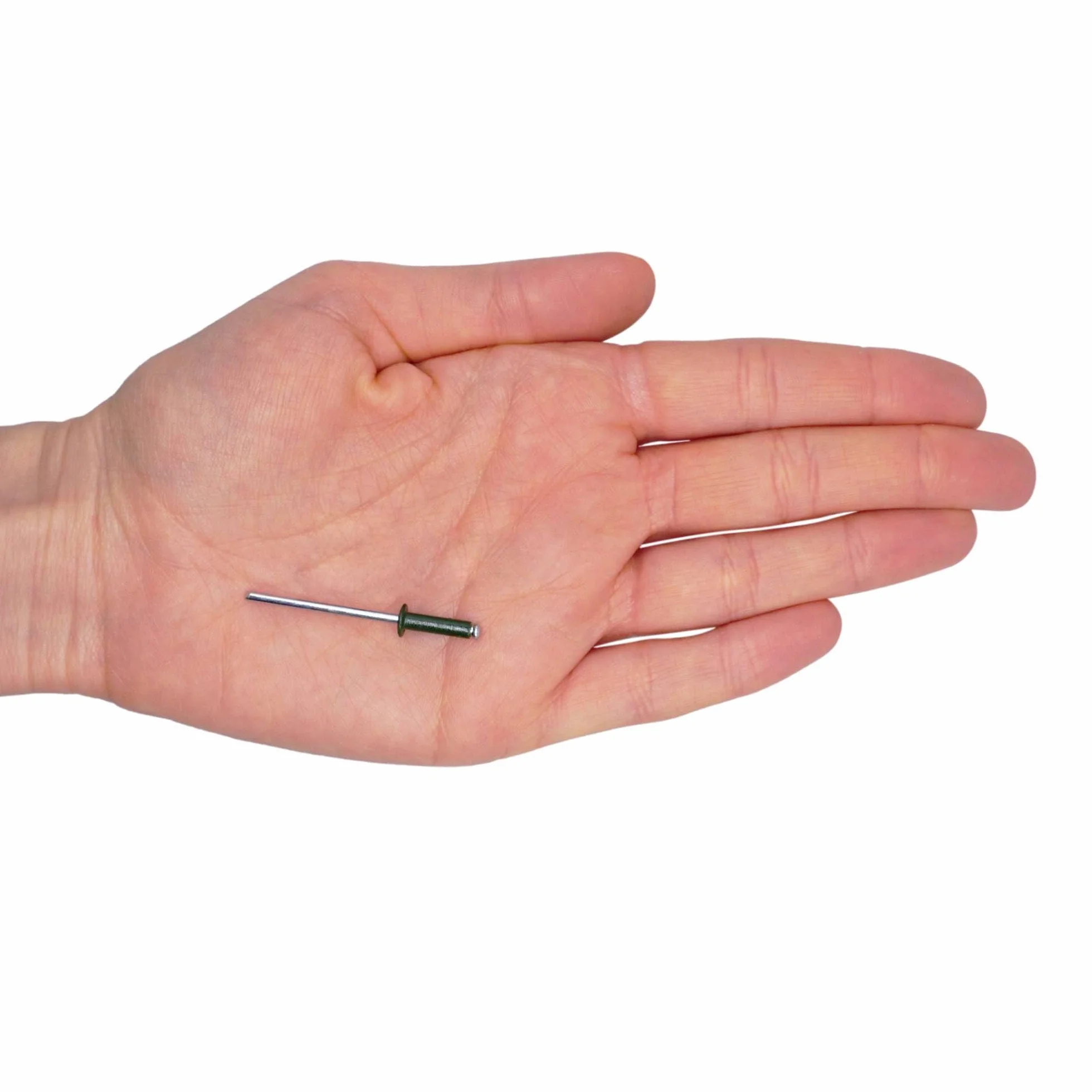 SKIR'CO (200 szt.) Malowane nity zrywalne 3,2 x 12 mm, aluminiowe nity zrywalne, DIN 7337, głowica kopułowa, stalowy trzpień, nity pop (chrom zielony RAL 6020)