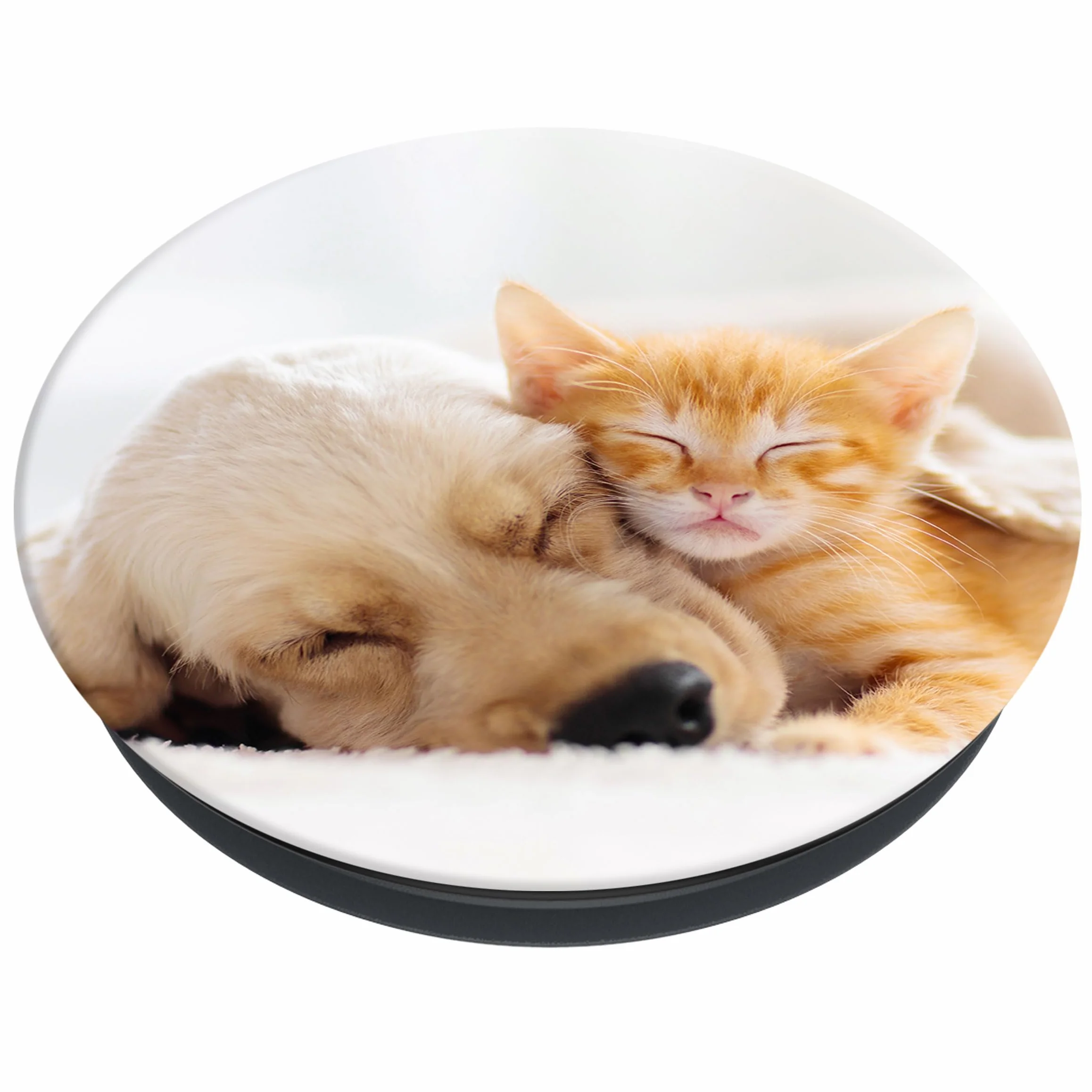 PopSockets PopGrip wysuwany uchwyt na palec Basic Cat & Dog do smartfonów i tabletów