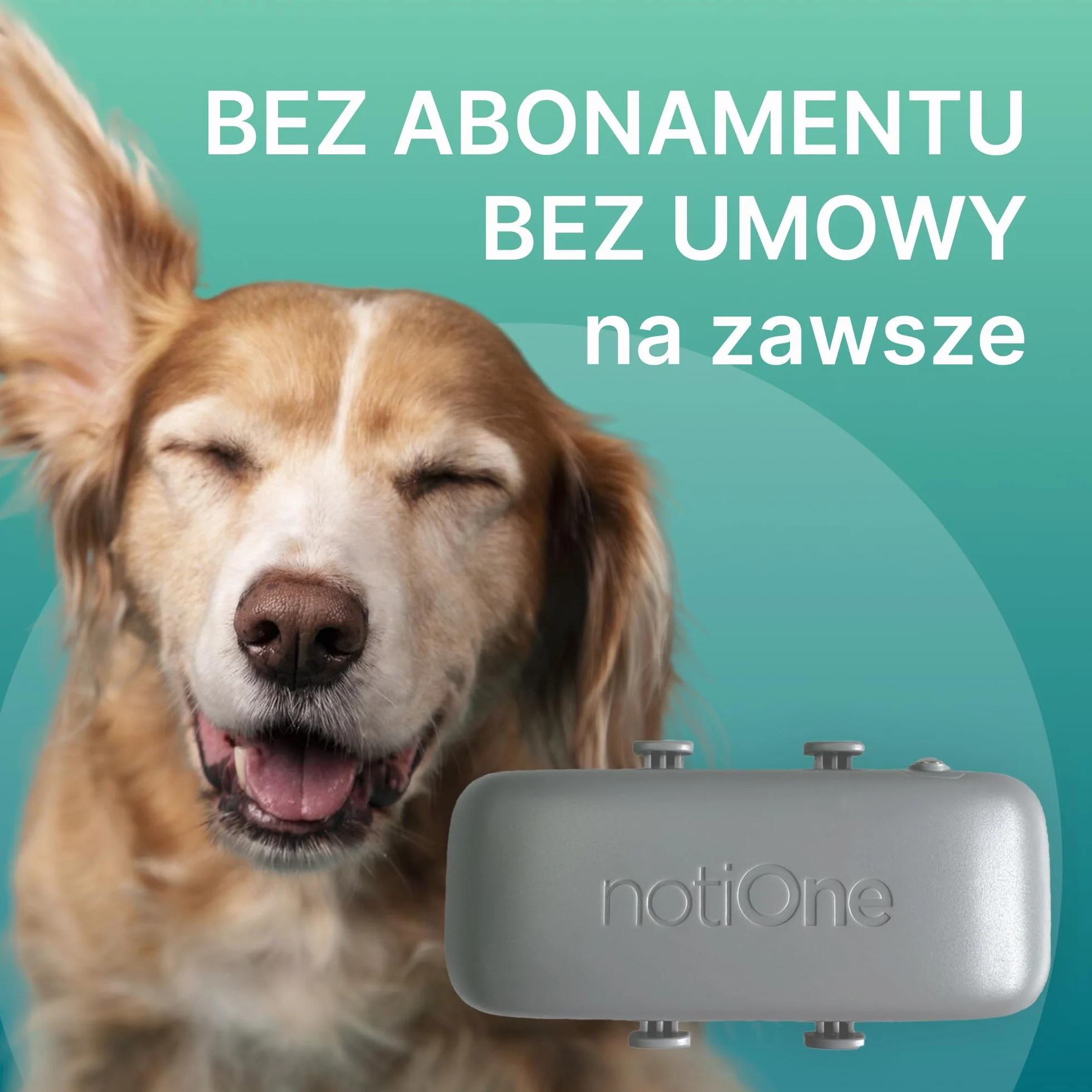 Lokalizator GPS PLUS dla zwierząt w czasie rzeczywistym z Geostrefą Roaming Europa