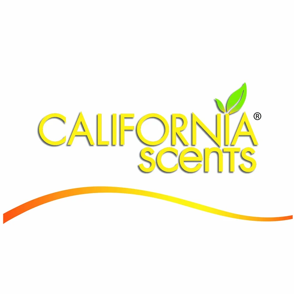 California Car Scents AC CS AMBIENTADOR COCHE Palmera Papel 4UDS Hielo