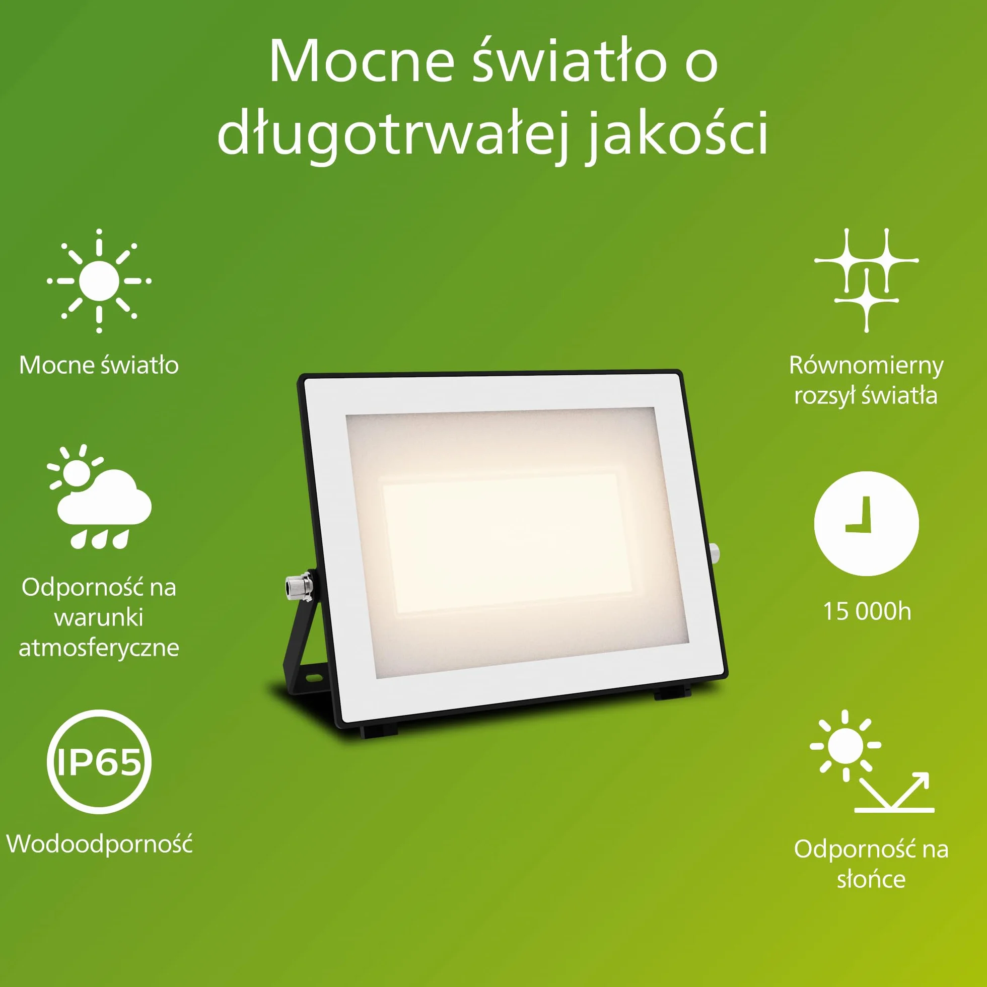 Philips Lois Zewnętrzna Lampa Floodlight, 50 W, 3000 K, Czarna