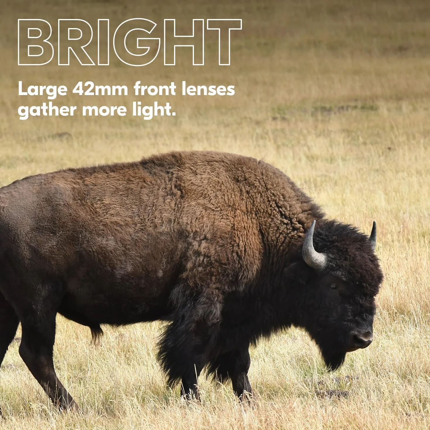 NIKON PROSTAFF P3 8x42.