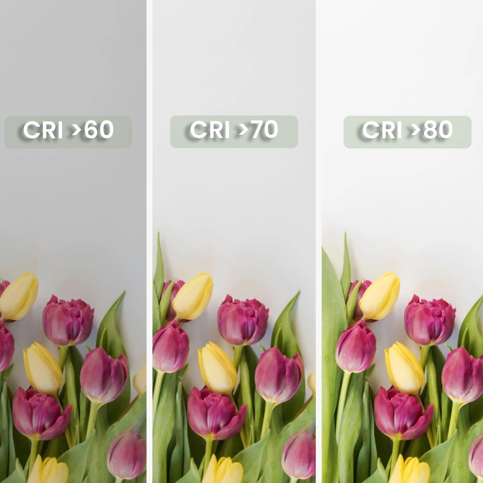 Lumiled żarówka LED E14 B35 10W, zastępuje żarówkę 75W, 230V, 1100lm, 3000K ciepła biel, nie do ściemniania, do żyrandoli i lamp sufitowych – zestaw 6 sztuk