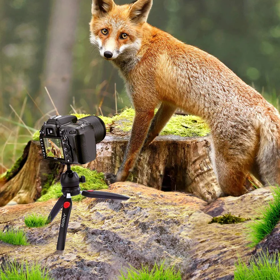 Andoer Mini statyw trójnożny zdejmowany głowica kulowa przenośny składany do lustrzanek DSLR/Mirrorless