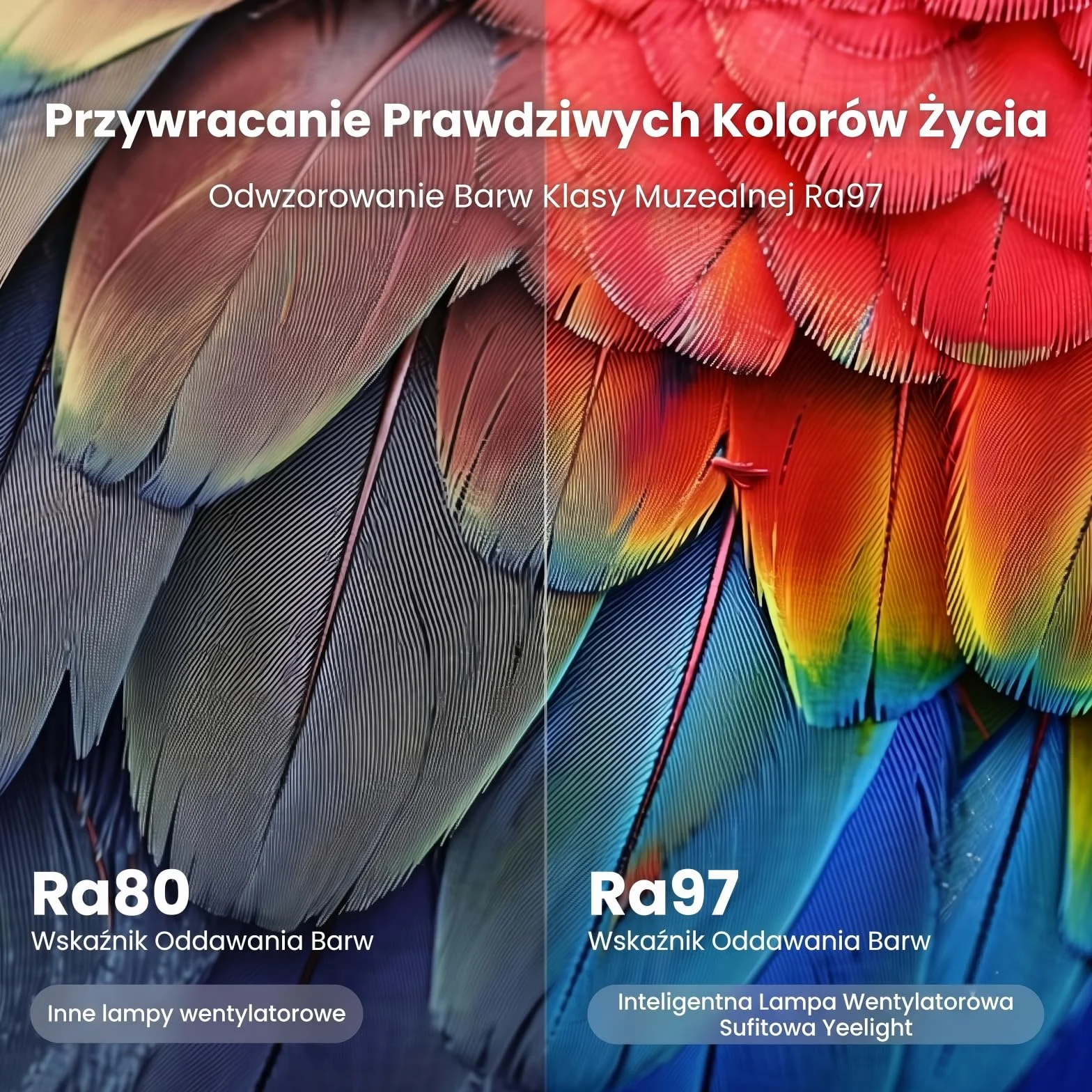YEELIGHT Wentylator Sufitowy Z Oświetleniem LED 74 W, Ściemniana Lampa Sufitowa Z Wentylatorem, 6 Prędkości, Pilot, Timer, Tryb Lato/Zima, Cicha Praca, Do Sypialni I Salonu
