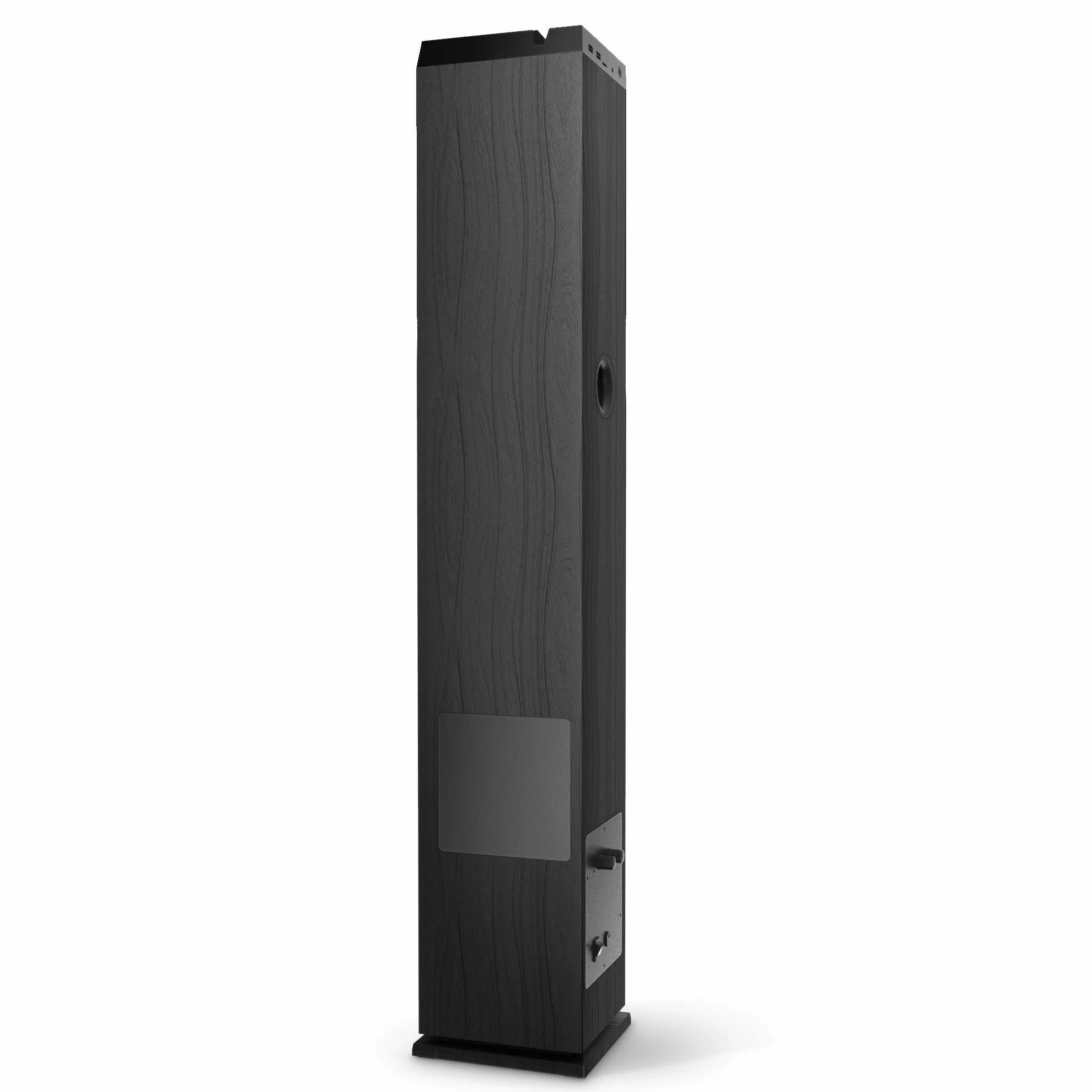 Energy Sistem Tower 5 MAX (100 W, Bluetooth, True Wireless, USB/SD, radio FM)