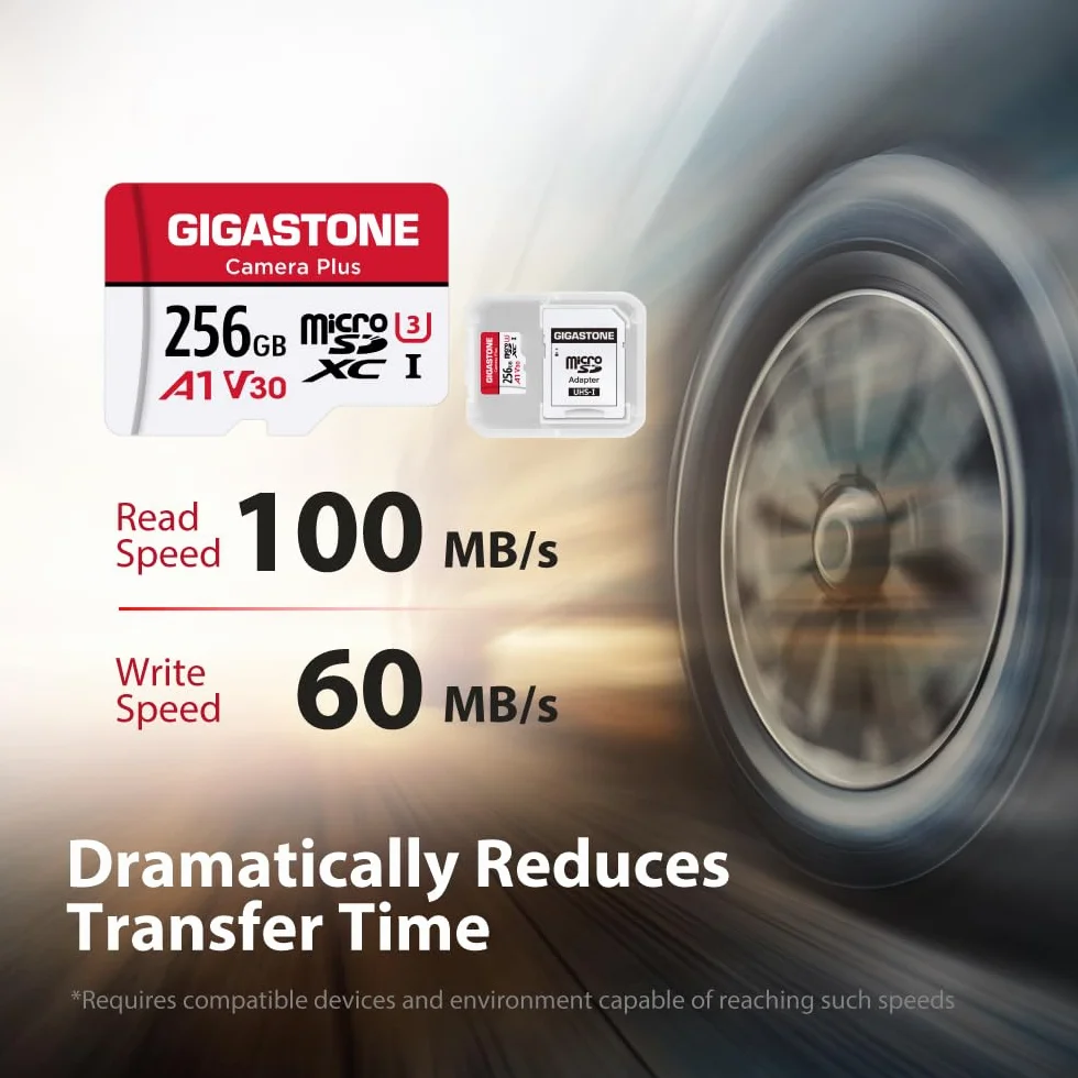 Gigastone Carte Mémoire 256 Go Lot de 2, Micro SDXC U3 95 Mo/s pour Caméra Drone GoPro