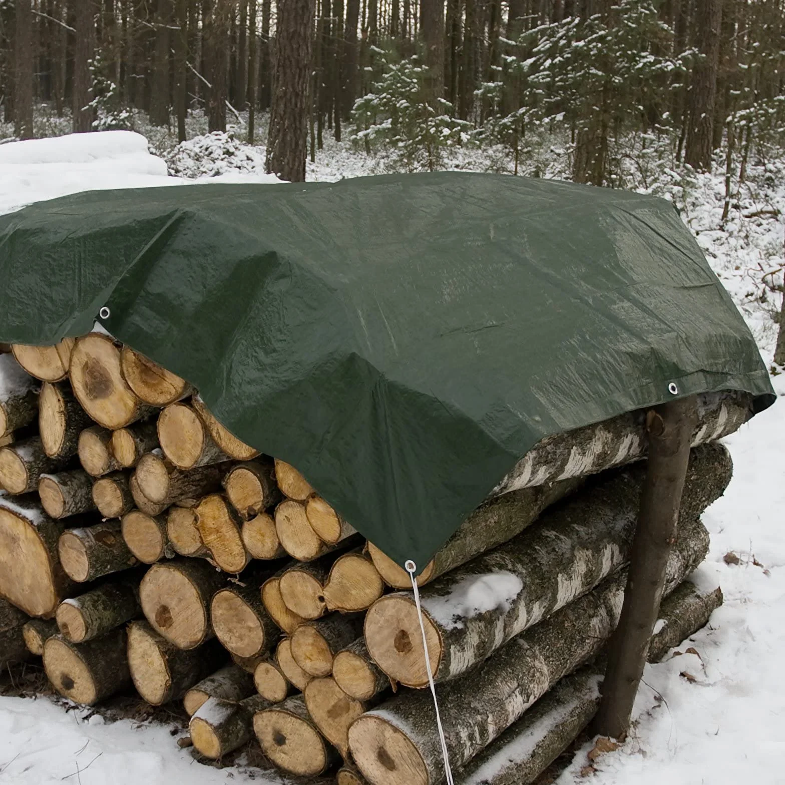 Mivos Uniwersalna plandeka wodoszczelna 4 x 4 m, zielona, plandeka 90 g/m², plandeka ochronna do mebli ogrodowych i drewnianych, odporna na pleśń, plandeka ogrodowa z aluminiowymi oczkami