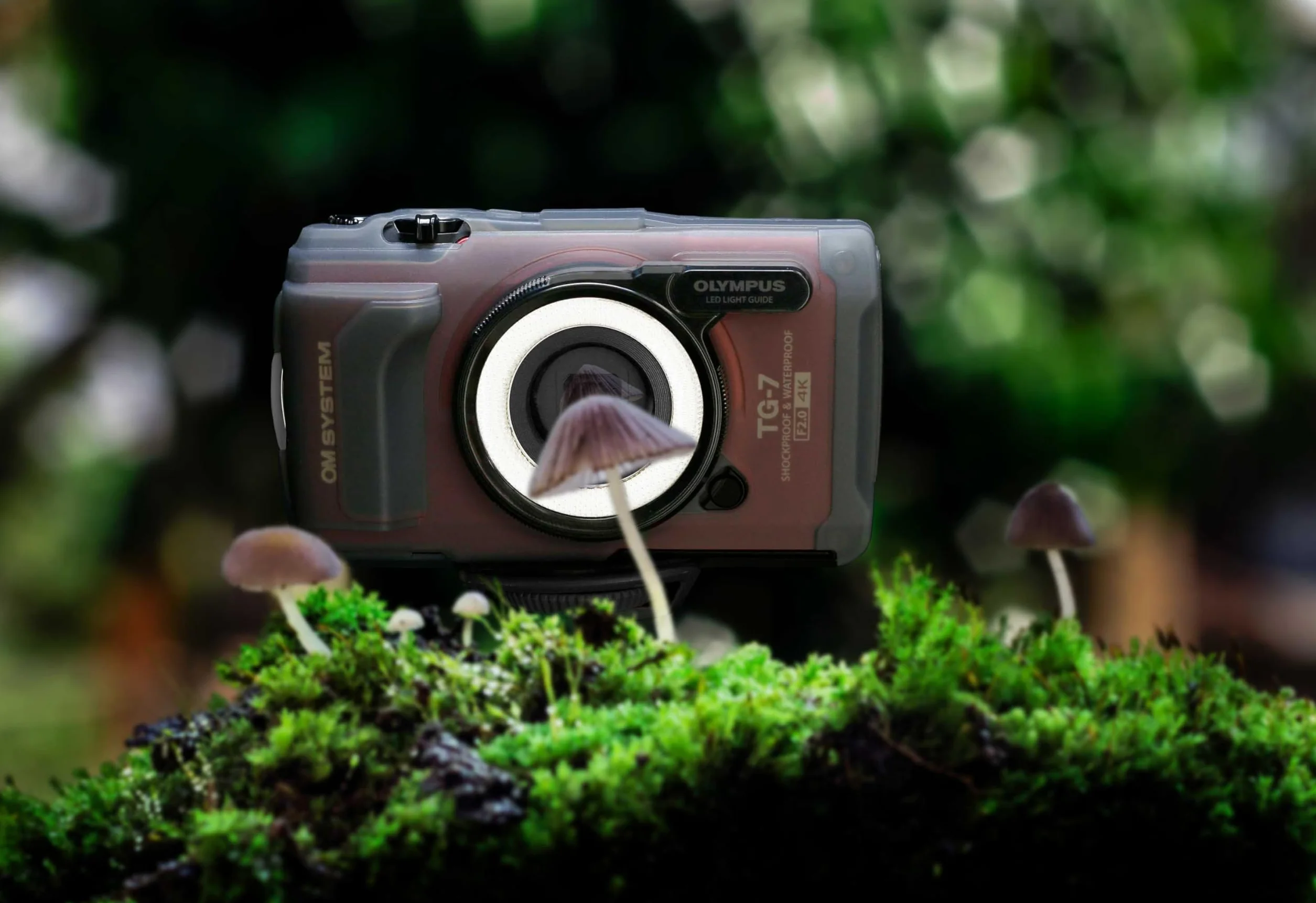 OM SYSTEM Tough TG-7, czarny, 12 MP, wodoodporny, odporny na uderzenia, tryby zdjęć podwodnych i makro, szybka matryca, wideo 4K, szerokokątny zoom 4x (następca modelu Olympus TG-6)