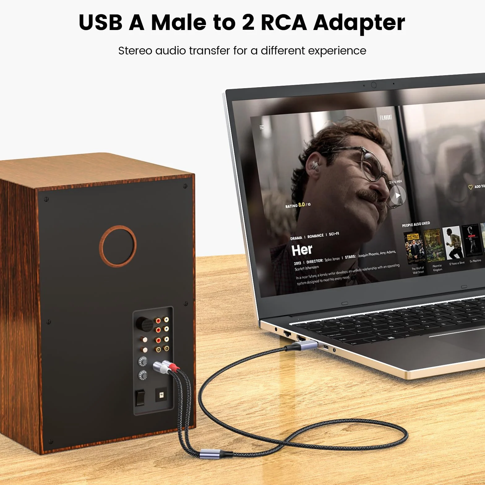 MOSWAG Konwerter kabla audio USB na RCA 1 m USB 2.0 na 2 wtyczki RCA