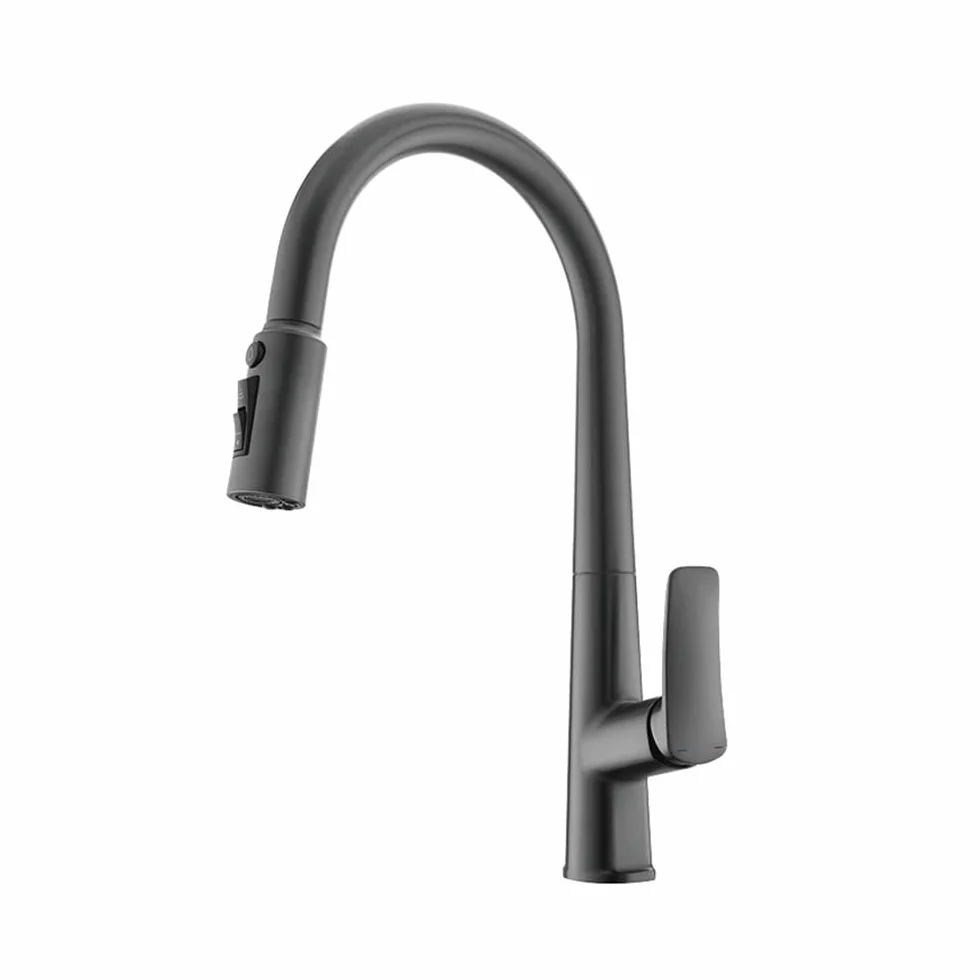Bateria kuchenna z podwójną wylewką z filtrem wody, wyciągana bateria do czystej wody pitnej, elegancki design - szare wykończenie, przyłącze G1/2