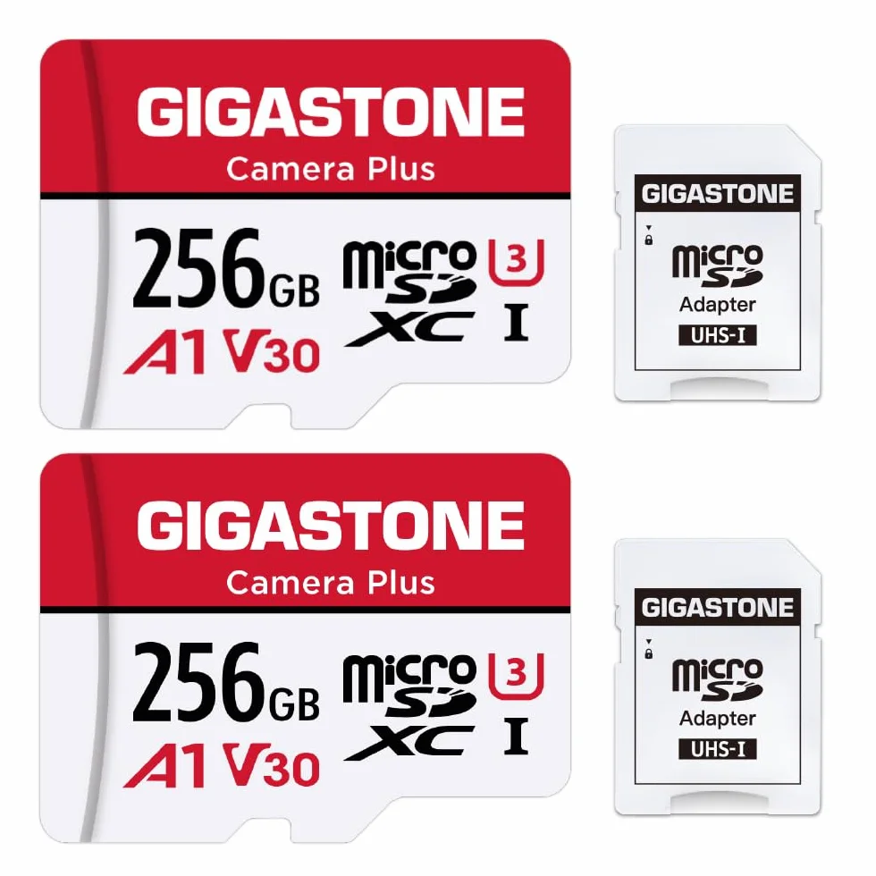 Gigastone Carte Mémoire 256 Go Lot de 2, Micro SDXC U3 95 Mo/s pour Caméra Drone GoPro