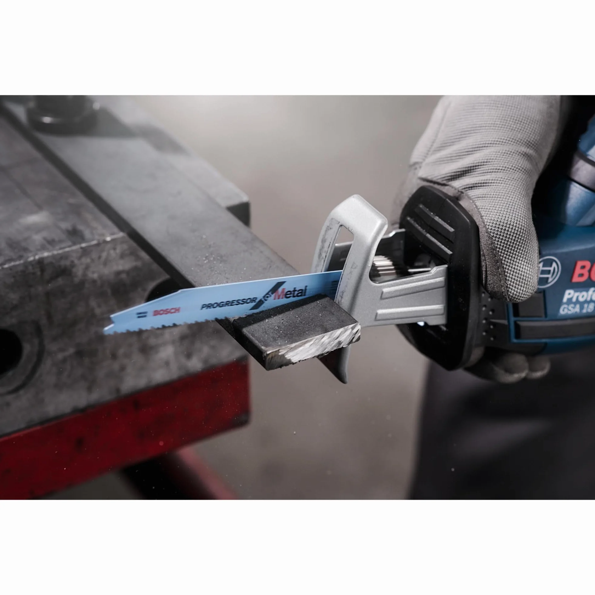Bosch Profesional BRZESZCZOT S123 XF 25 PC