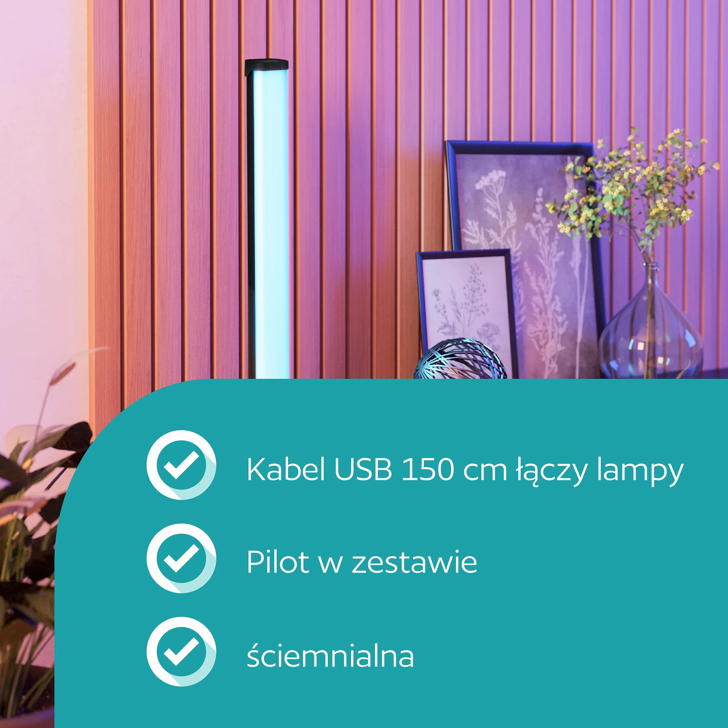 EGLO 2 szt. LED lampki do pokoju gamingowego, kolorowe lampki stołowe z efektami świetlnymi, dekoracja na imprezę, lampka sterowana muzyką, pilot, USB, ciepłe białe i RGB, czarne